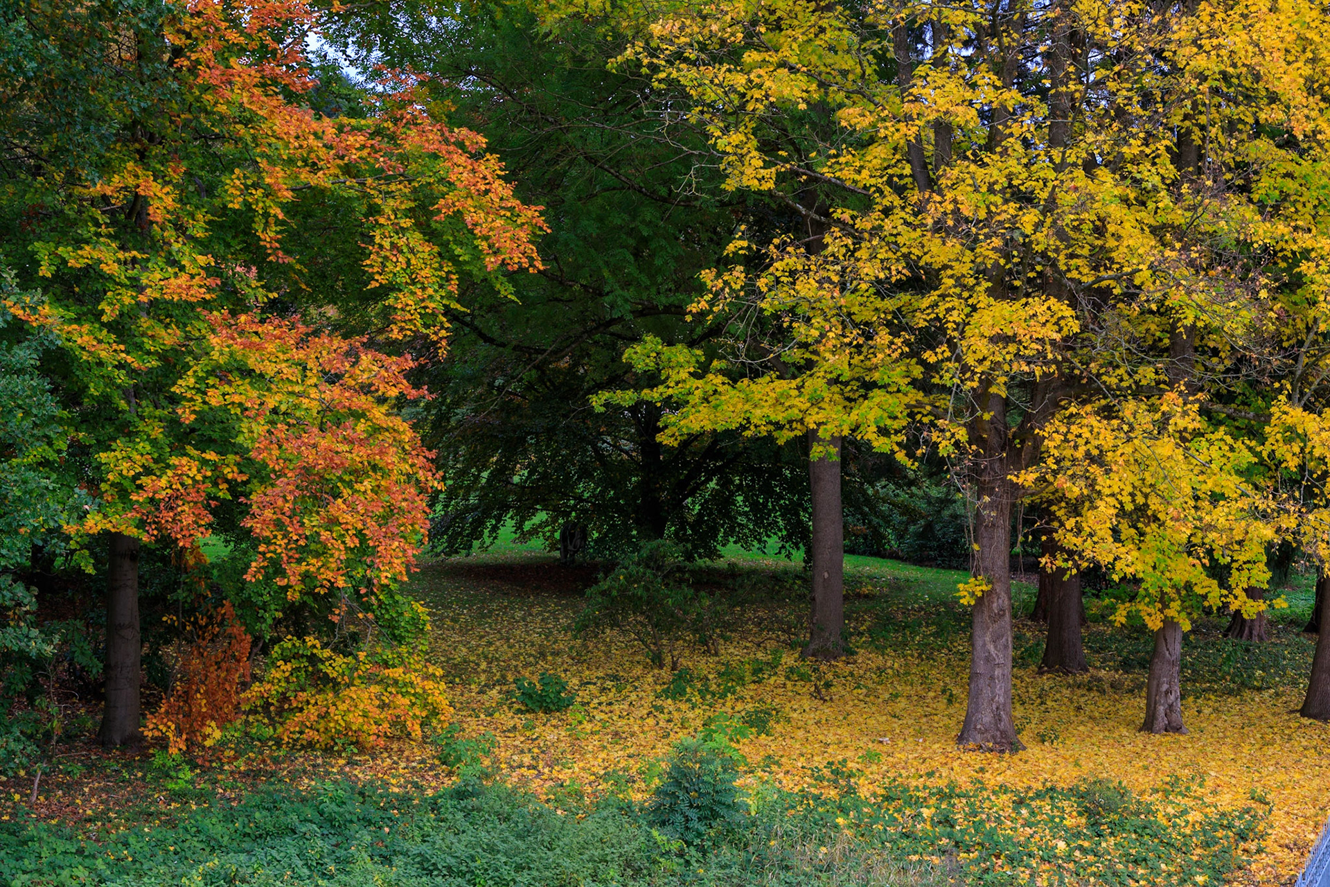 Büdingen im goldenen Oktober