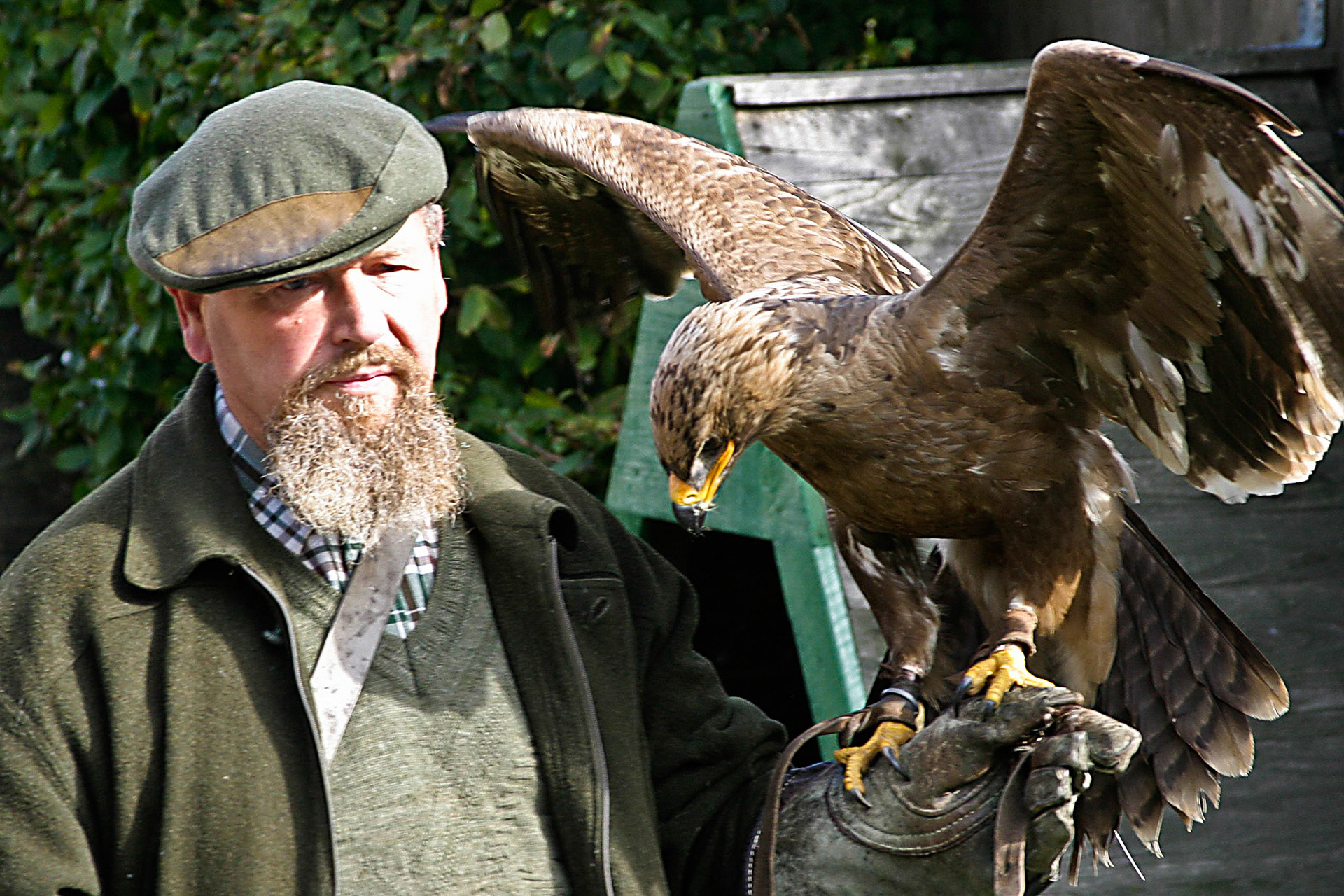 Adlerwarte auf dem Großen Feldberg im Taunus
