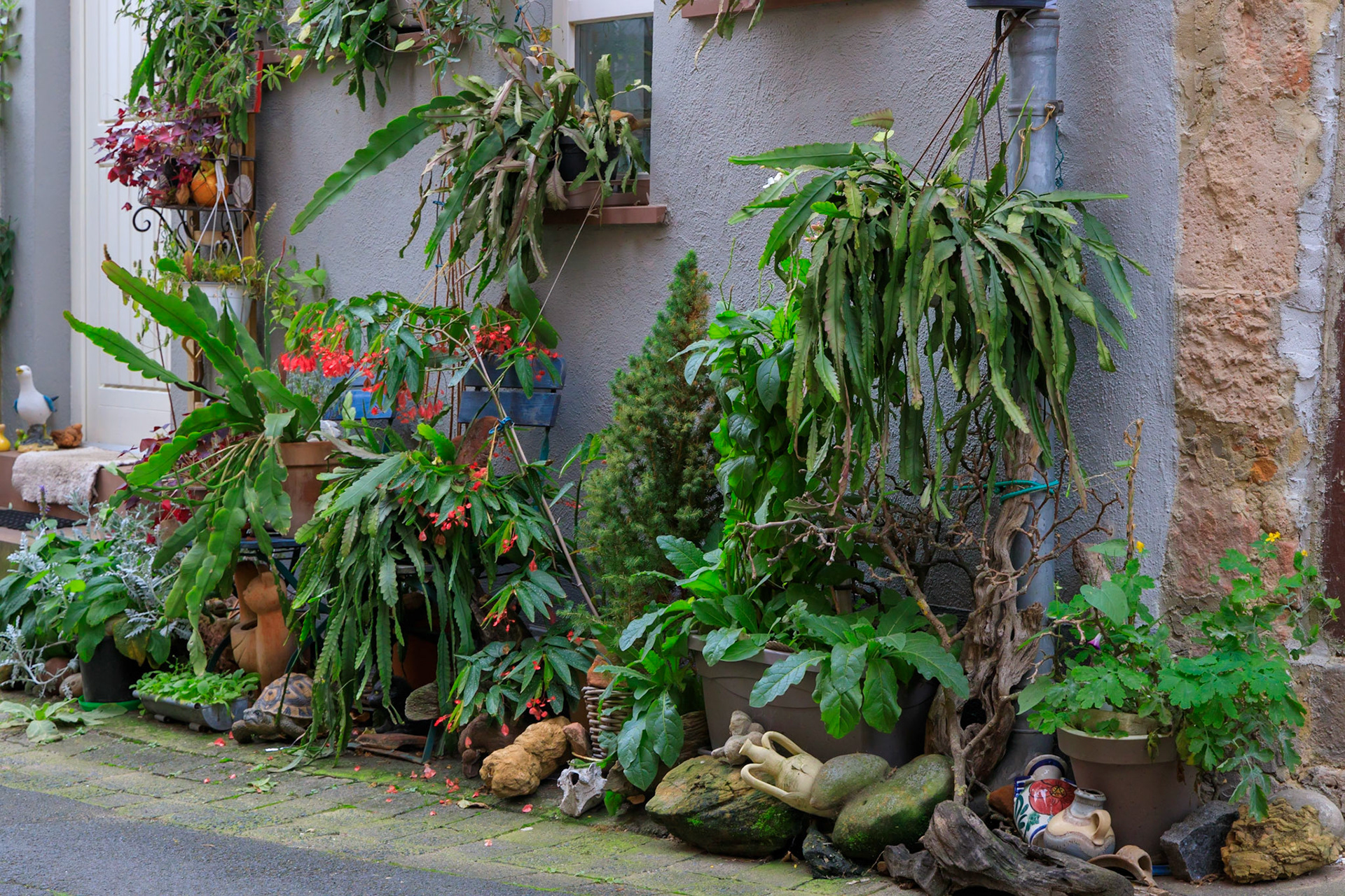 Büdingen im goldenen Oktober