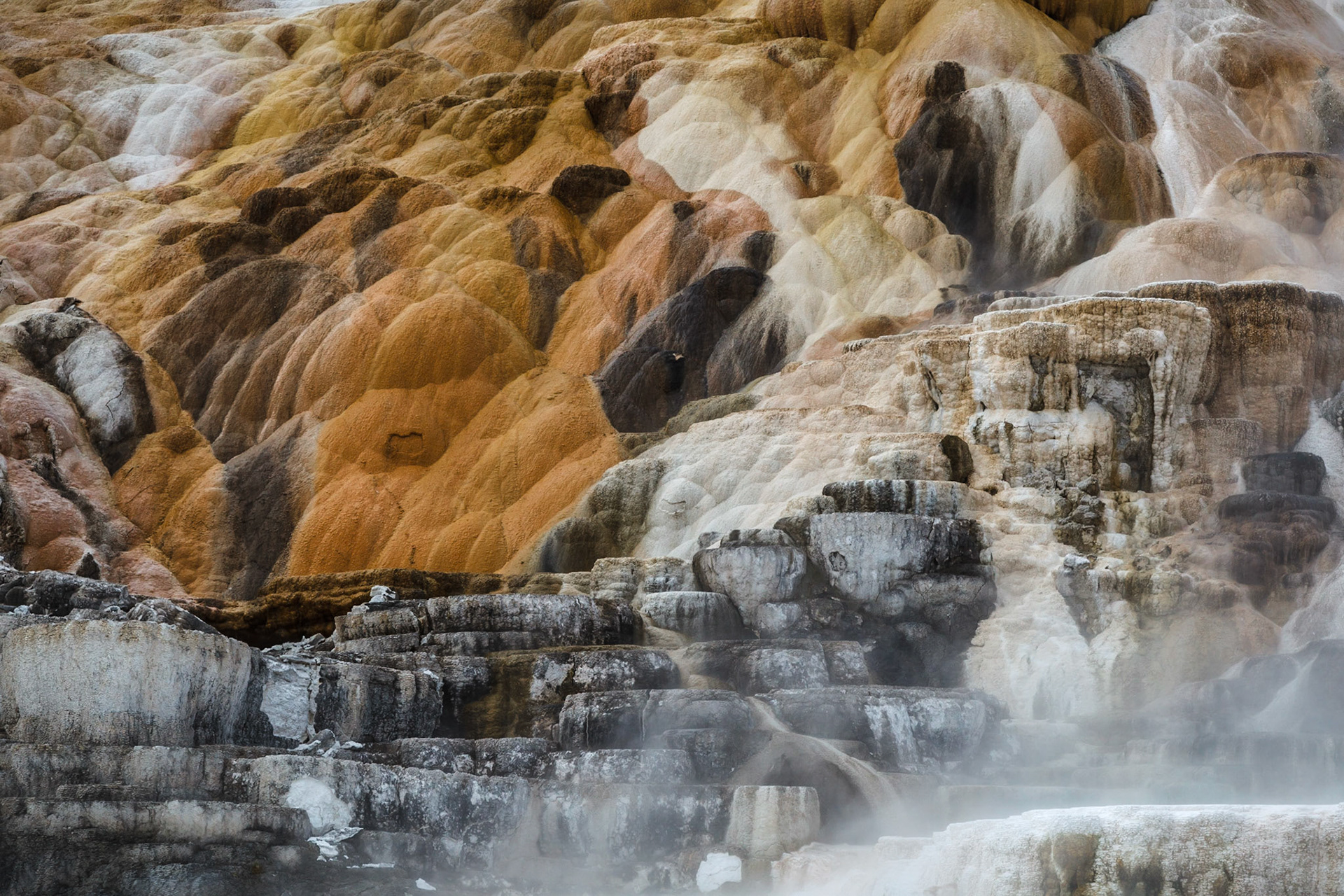 Mammoth Hot Springs