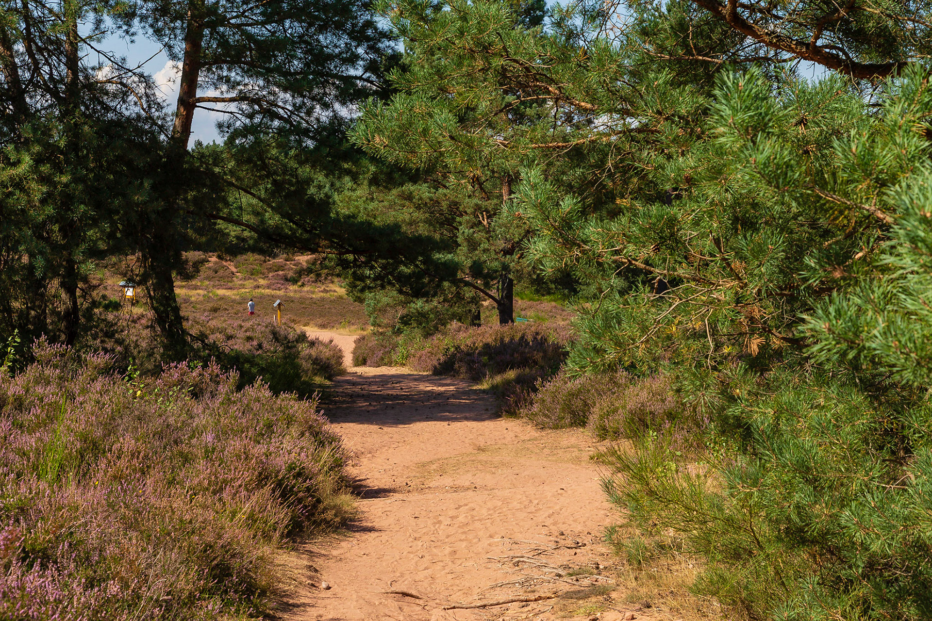 Mehlinger Heide