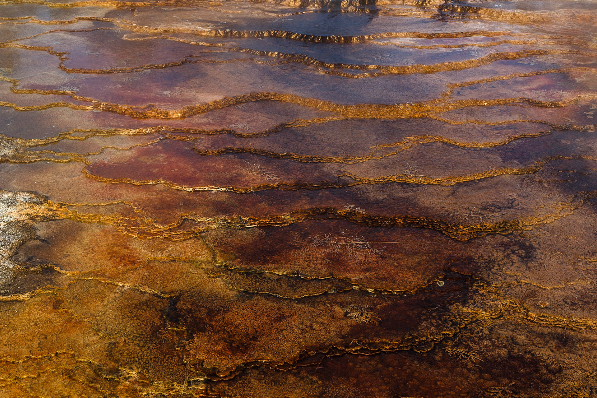 Stufenlandschaft. Vieleicht zwanzig Meter im Quadrat.