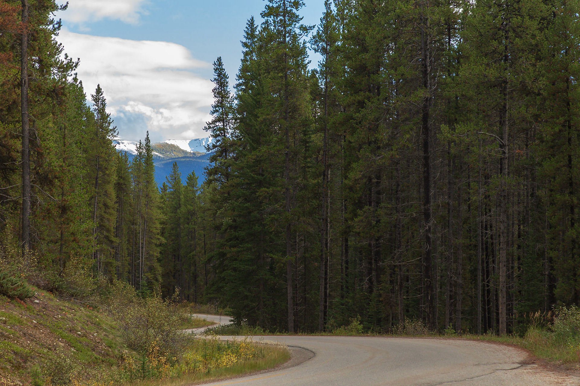 Von Banff nach Lake Louise - rechts und links des Hwy 1A