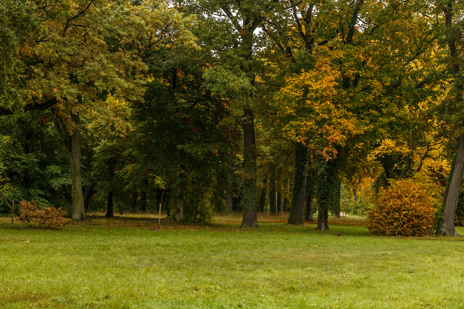 Herbstlicher Schlosspark Sanssouci