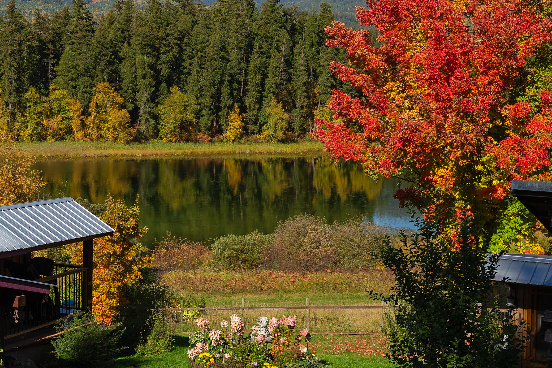 Herbst in Kanada BC