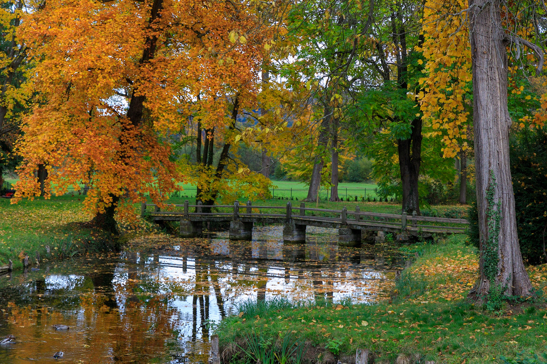 Büdingen im goldenen Oktober