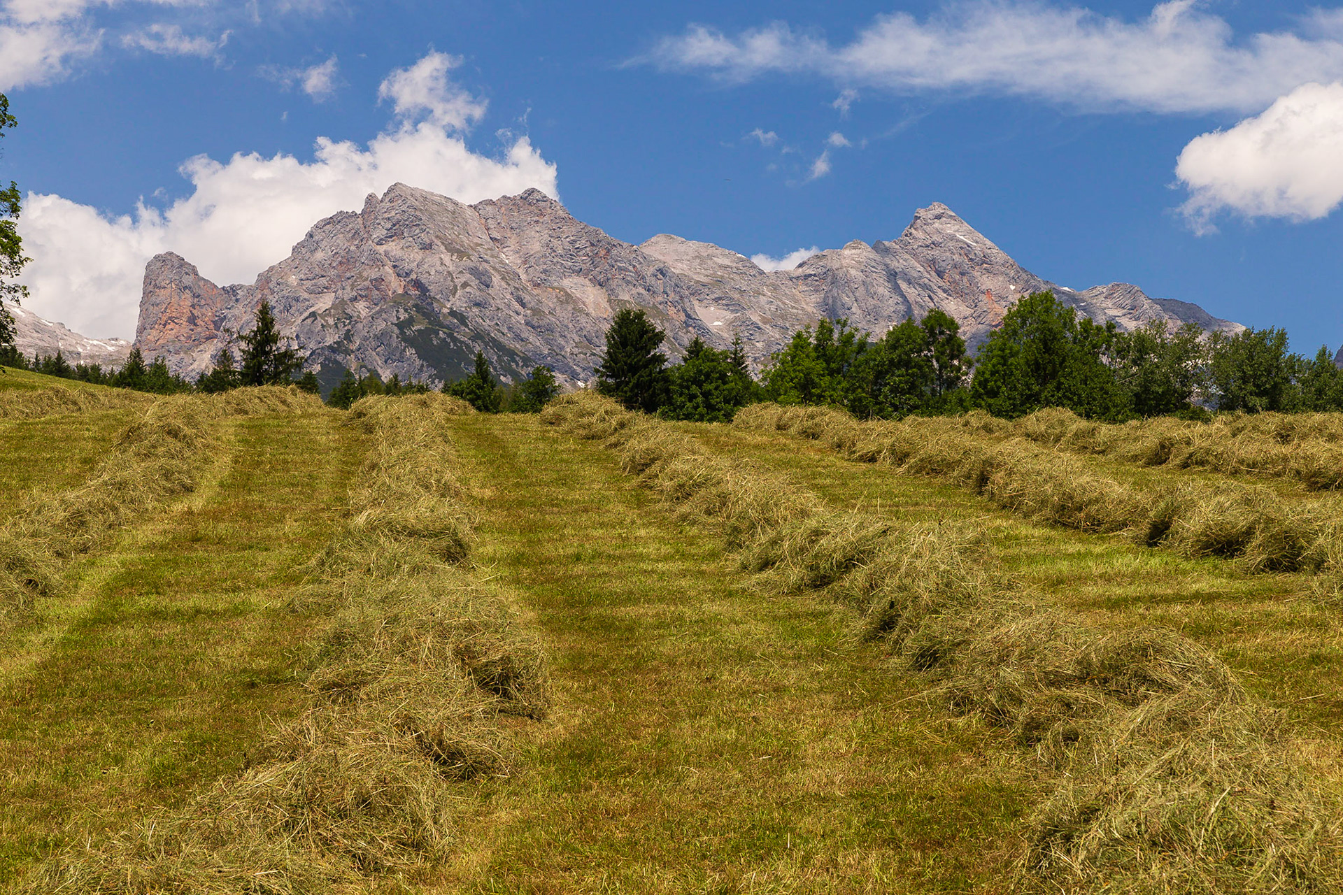 Maria Alm / Saalfelden