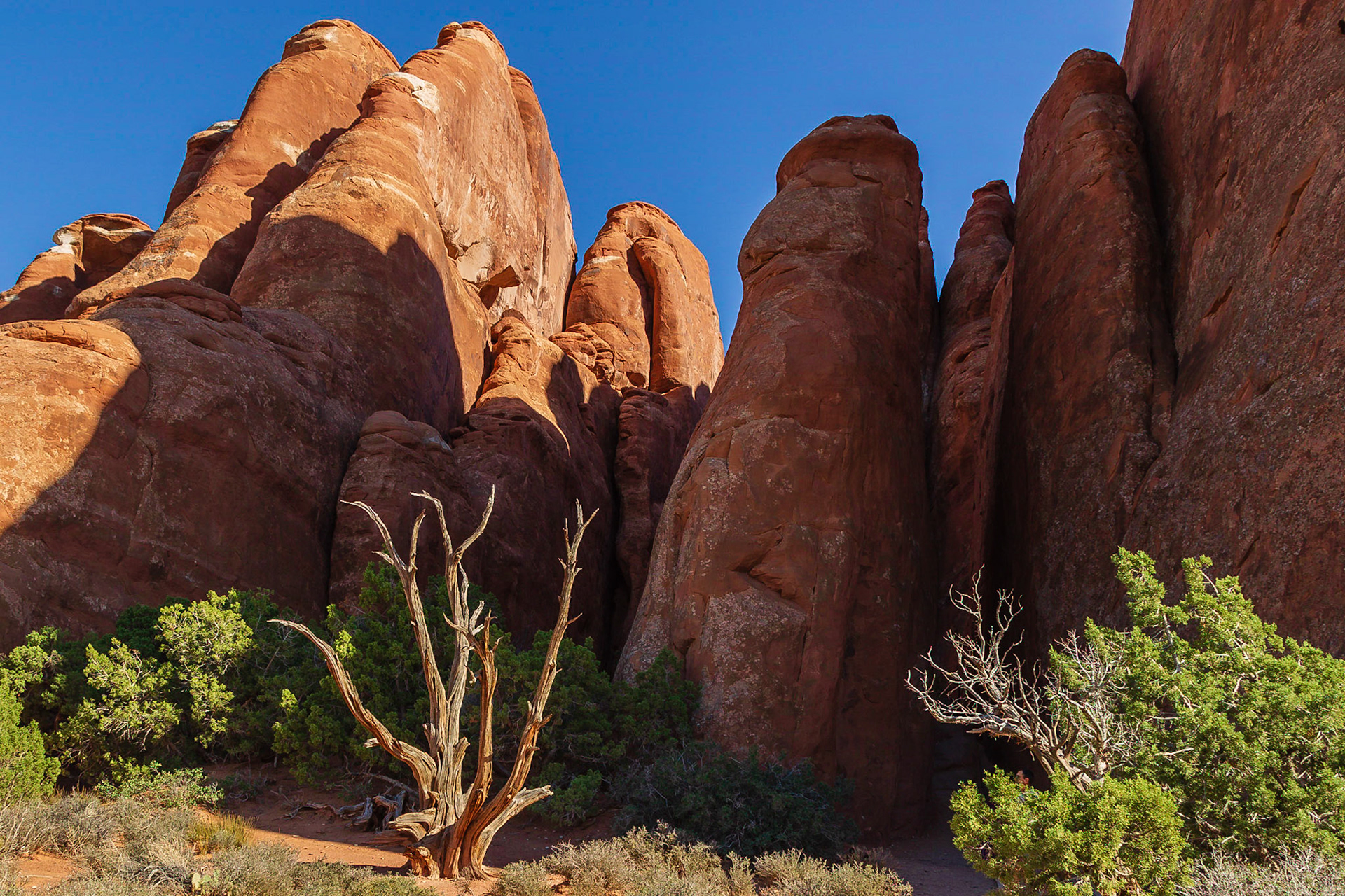 Arches National Park