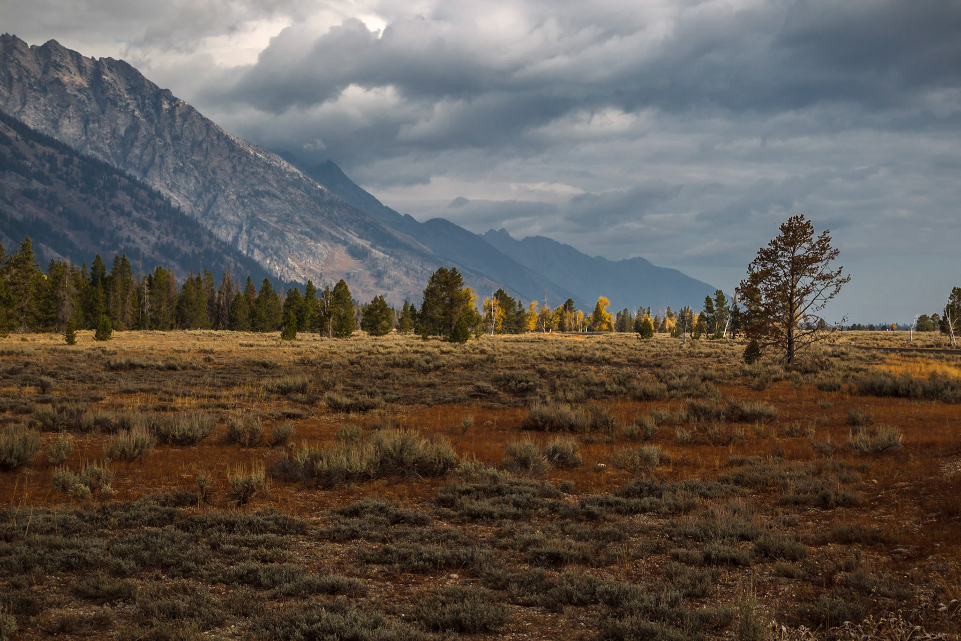 Grand Teton National Park 