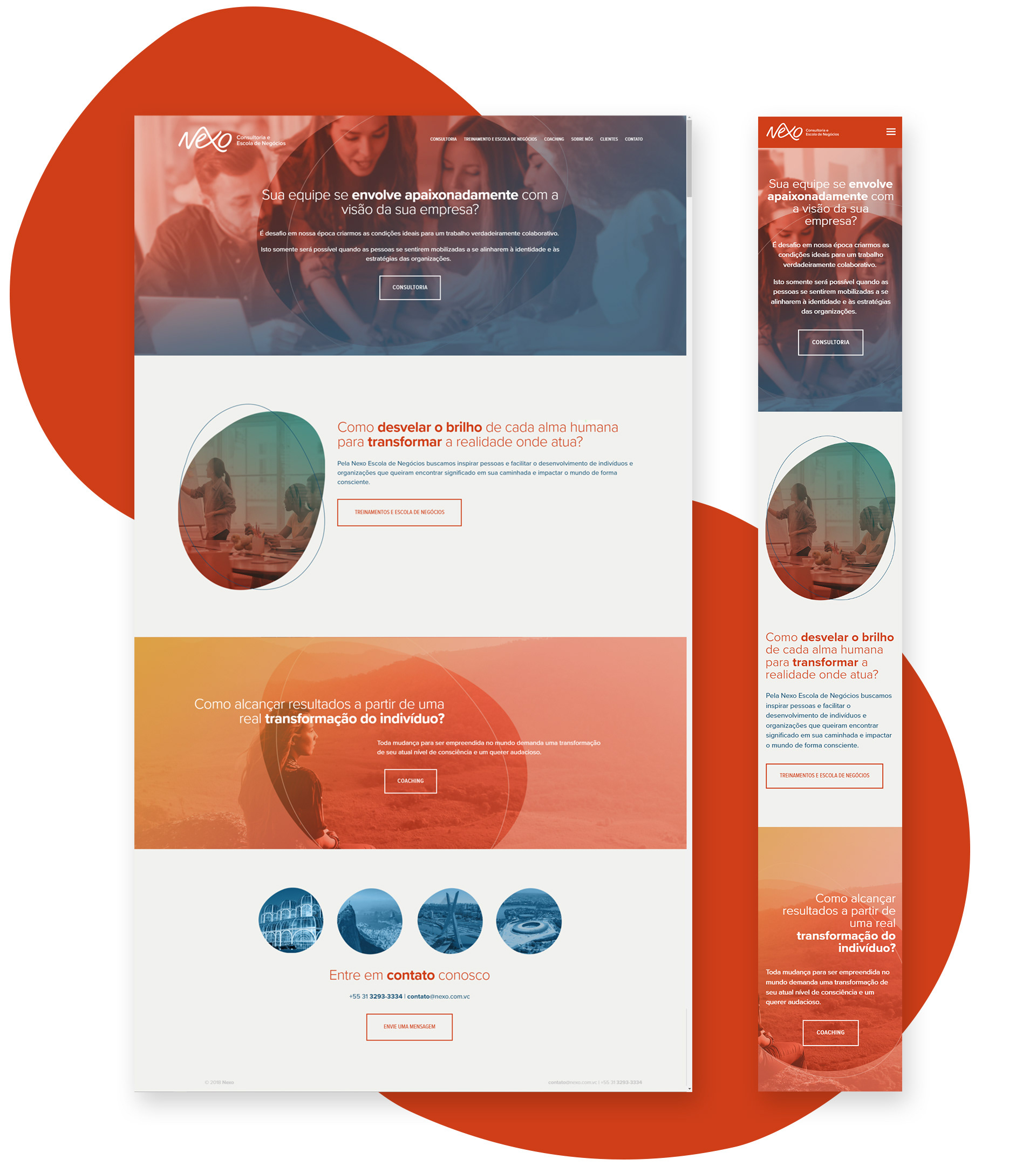 Disarme Grafico_identidade visual Nexo, site