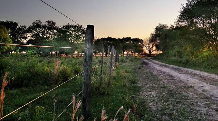 Camino