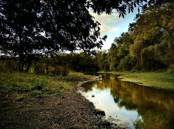 Tus aguas