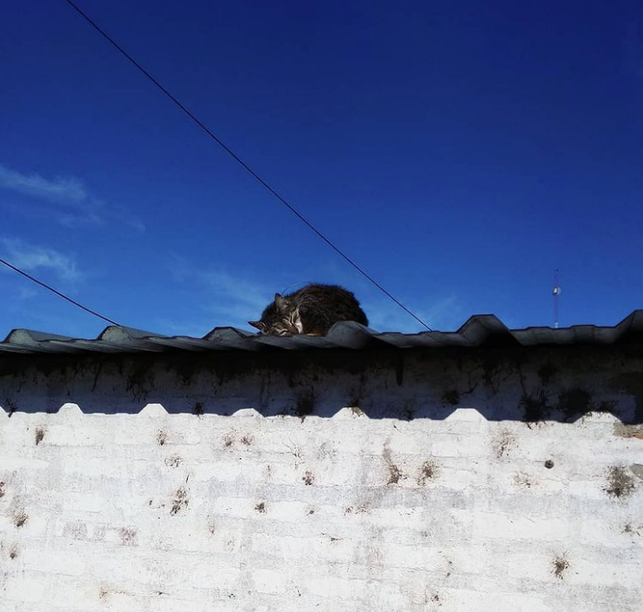Descanso