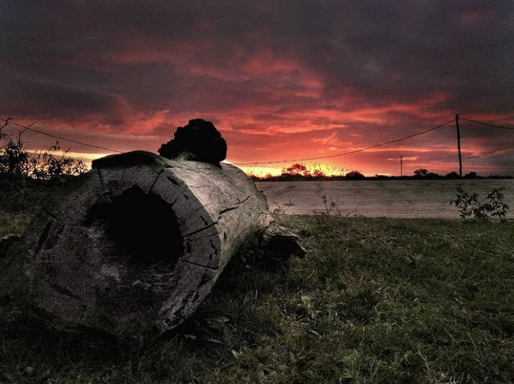 Mueriéndo en el atardecer