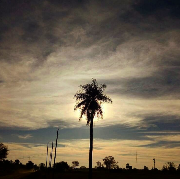 Sol/edad