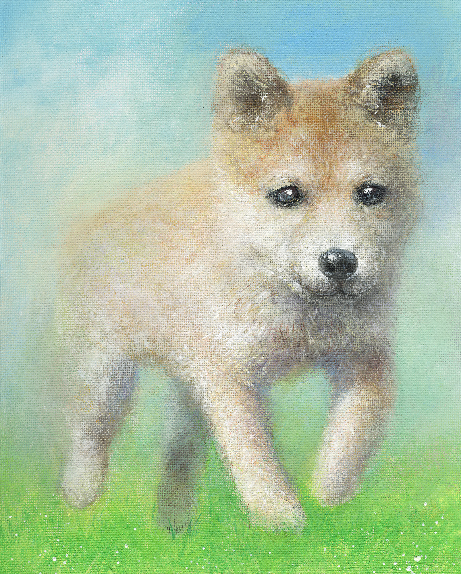 柴犬(2008・アクリル)