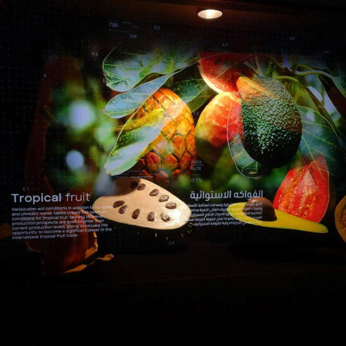 Vitrine holográfica de recursos naturais