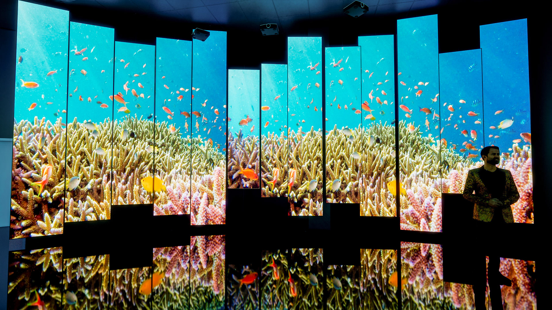 Sala audiovisual dos biomas da Venezuela