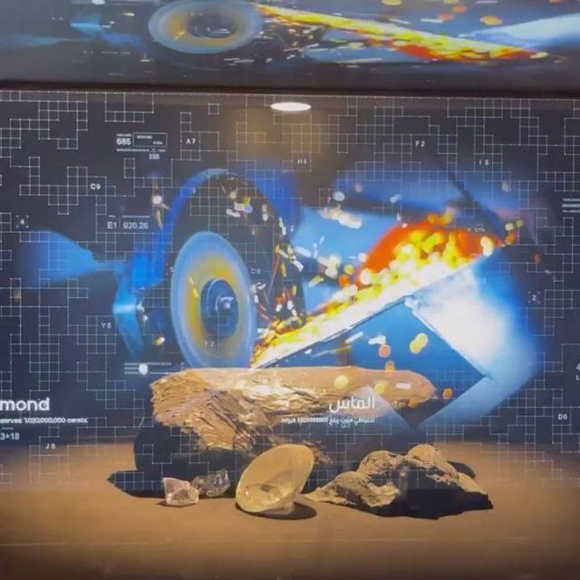 Vitrines com acervo e hologramas da sala de recursos naturais