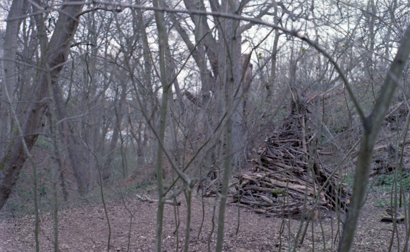 Whitlingham