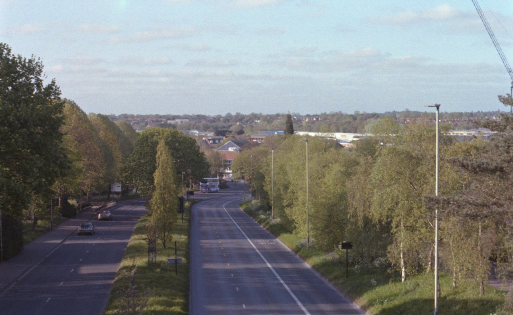 Grapes Hill