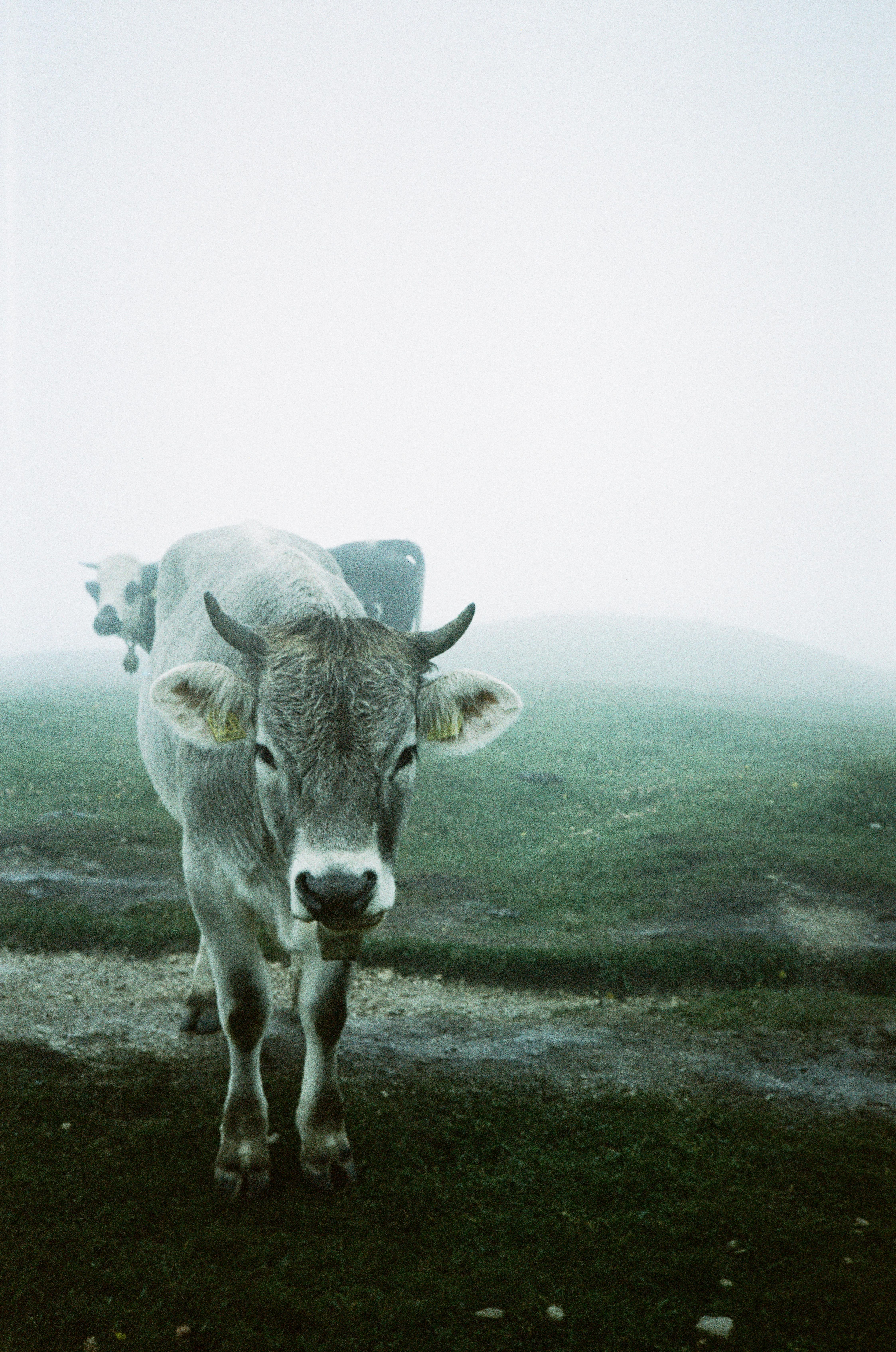 Dolimites, Italy, 2024