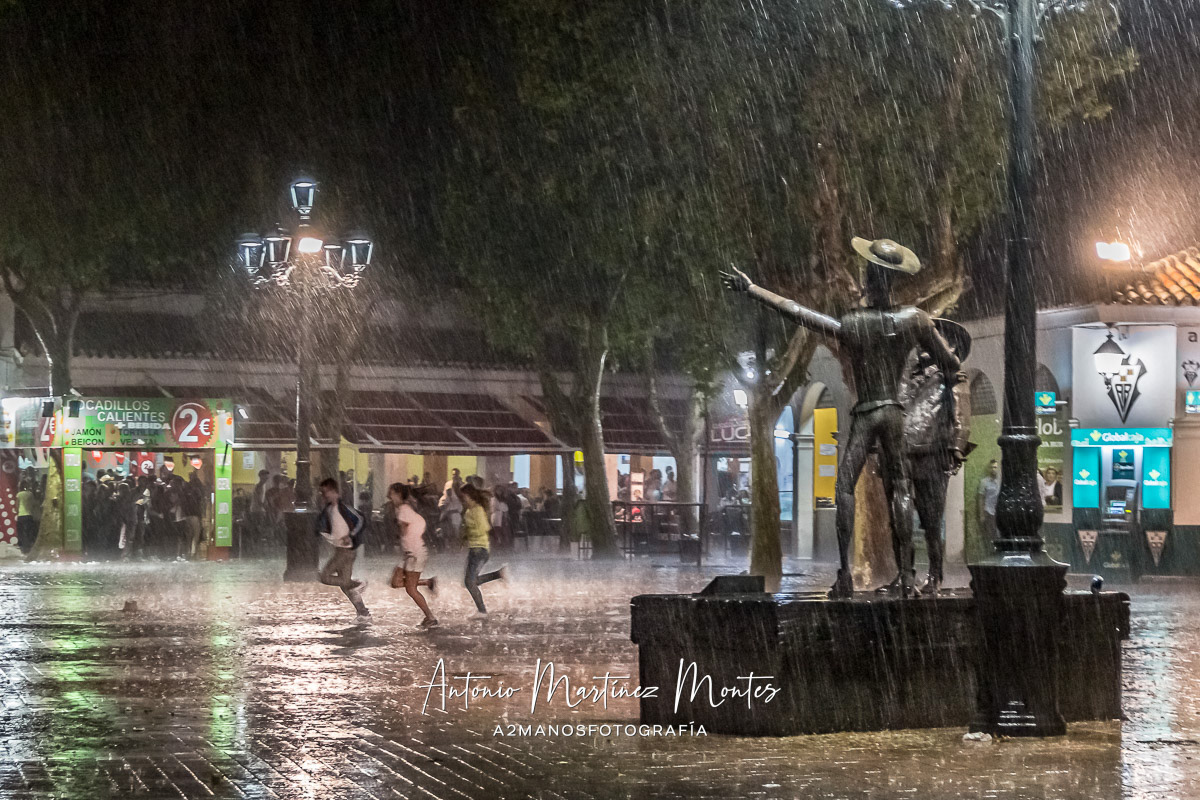 Primer Premio en el II Certamen de Fotografía Feria de Albacete 2013, promovido por la Asociación Colectivo Foto Albacete.
