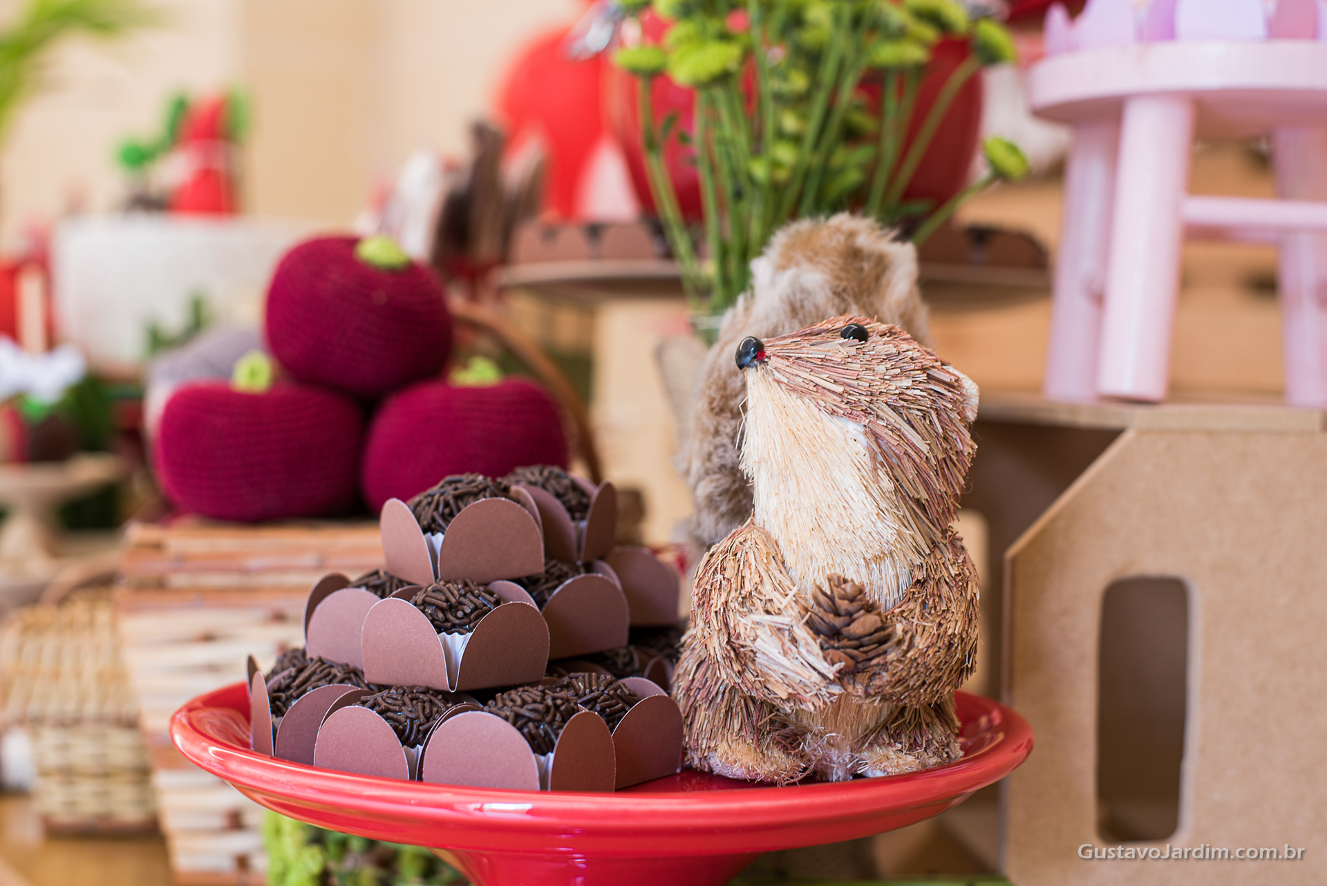 Festa de aniversário - infantil