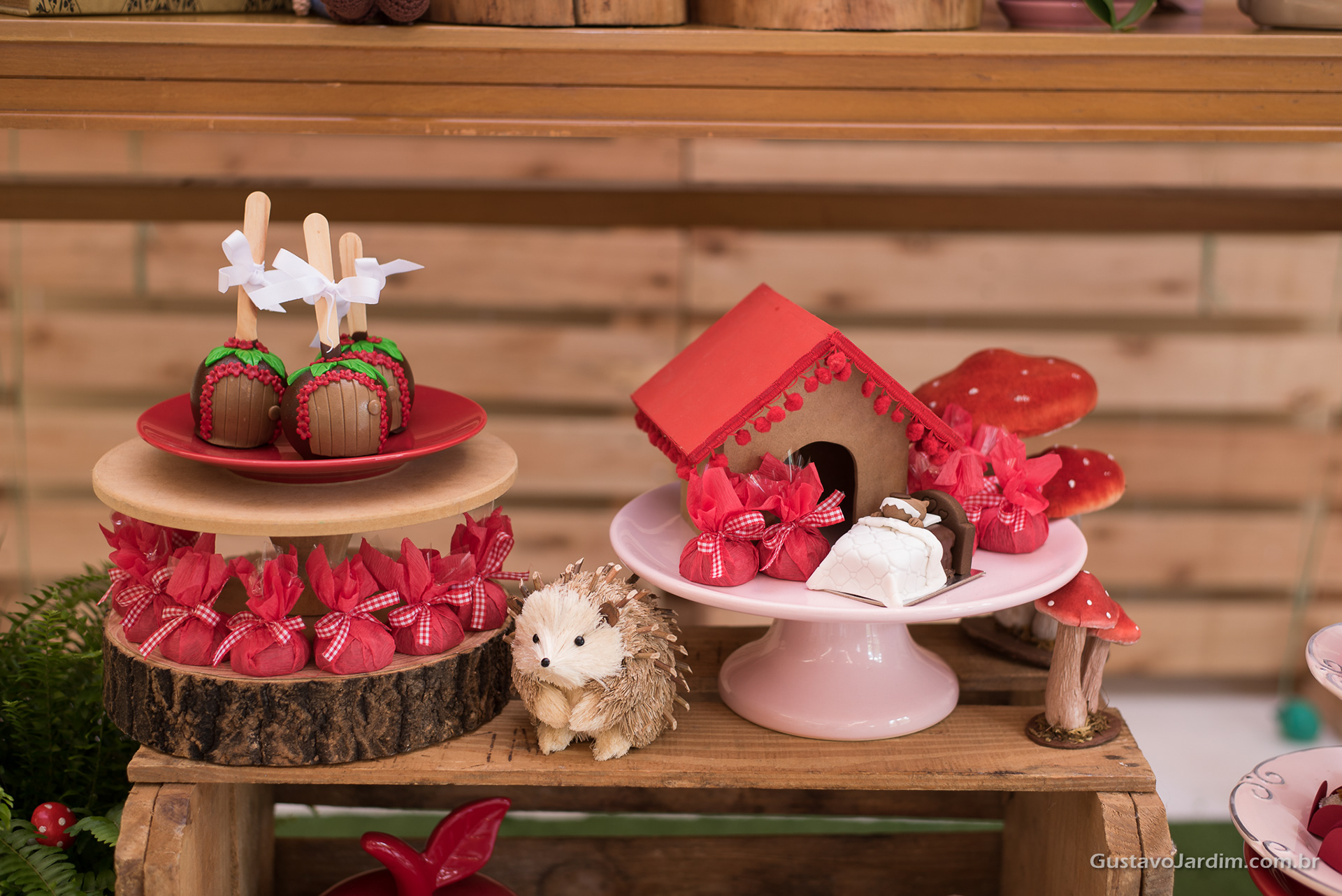 Festa de aniversário - infantil