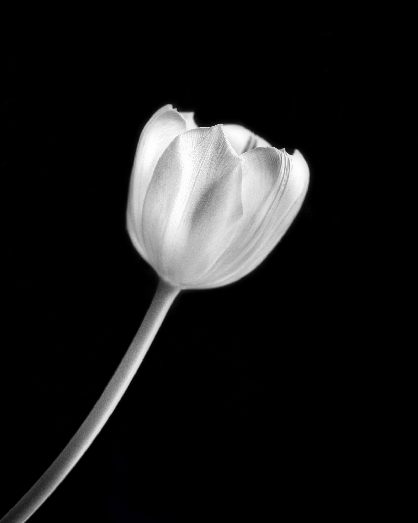 Tenderness
