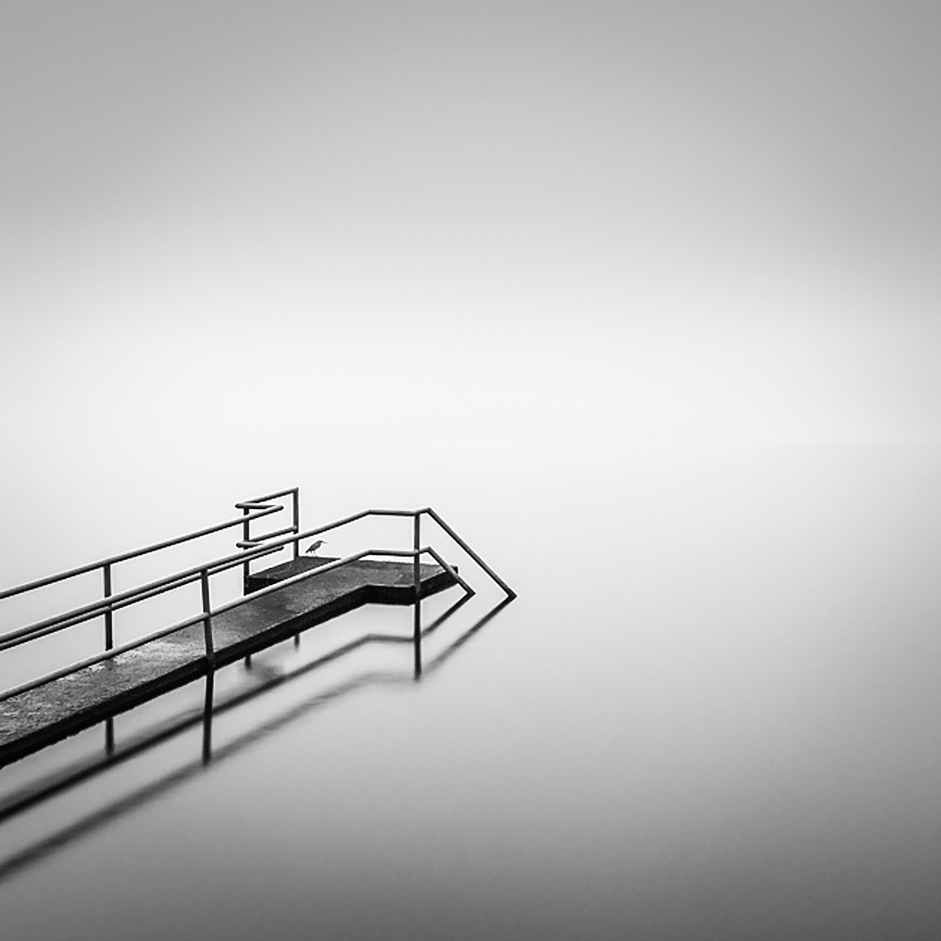 Lonely