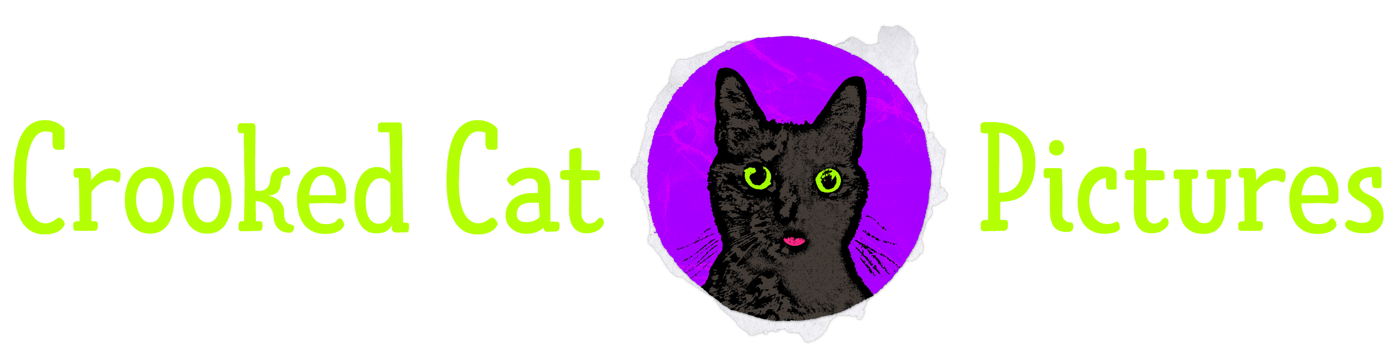 Timothy Hall • Crooked Cat Pictures