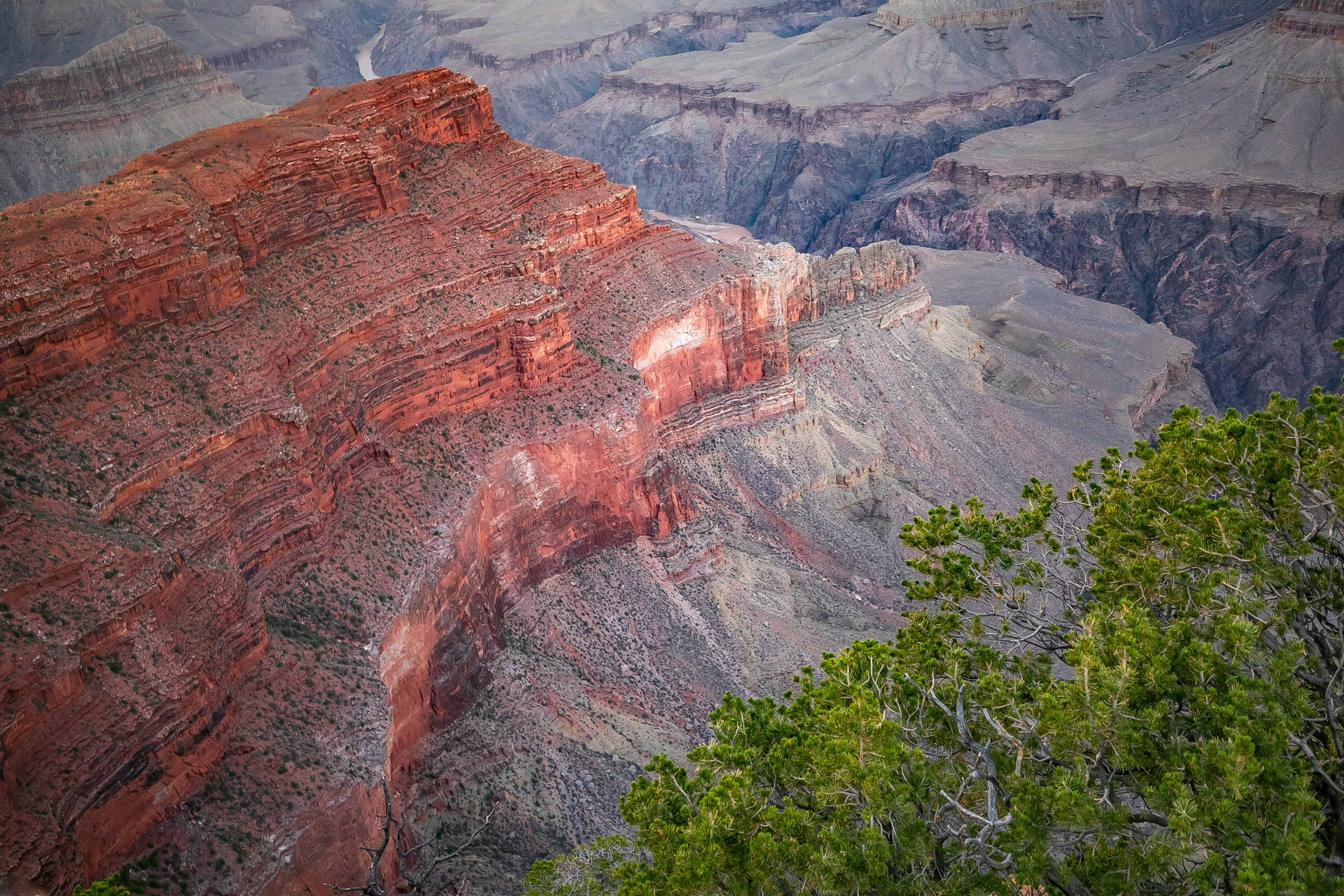 Grand Canyon National Park