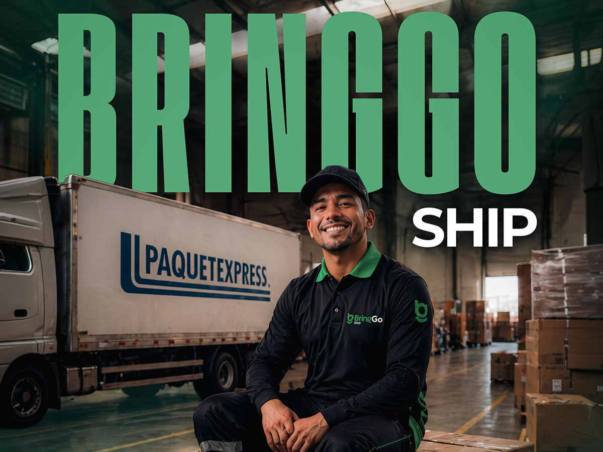 BringGo Ship | Visual Identity for Logistics