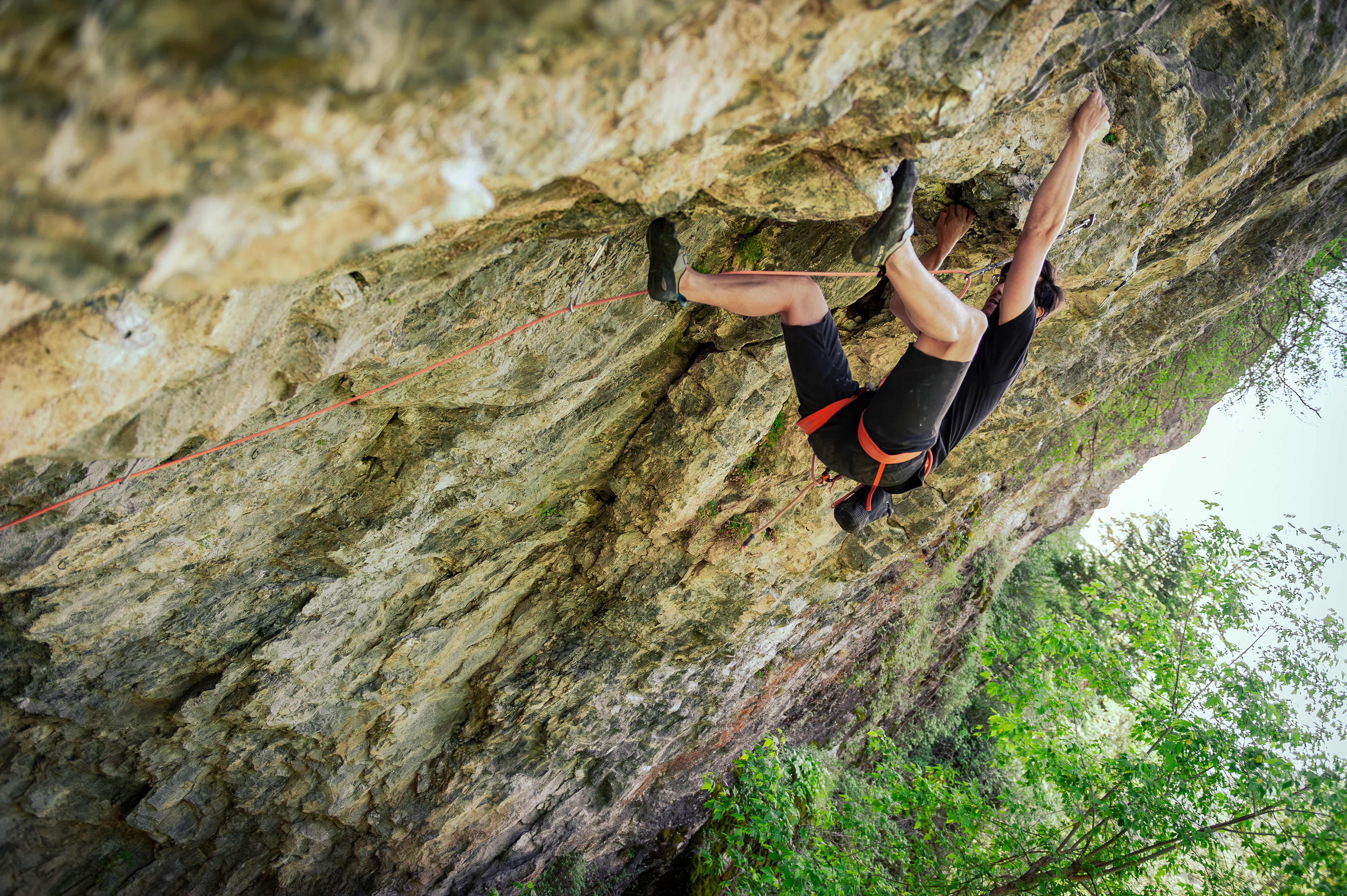 Eddie on License To Thrill (5.11c)