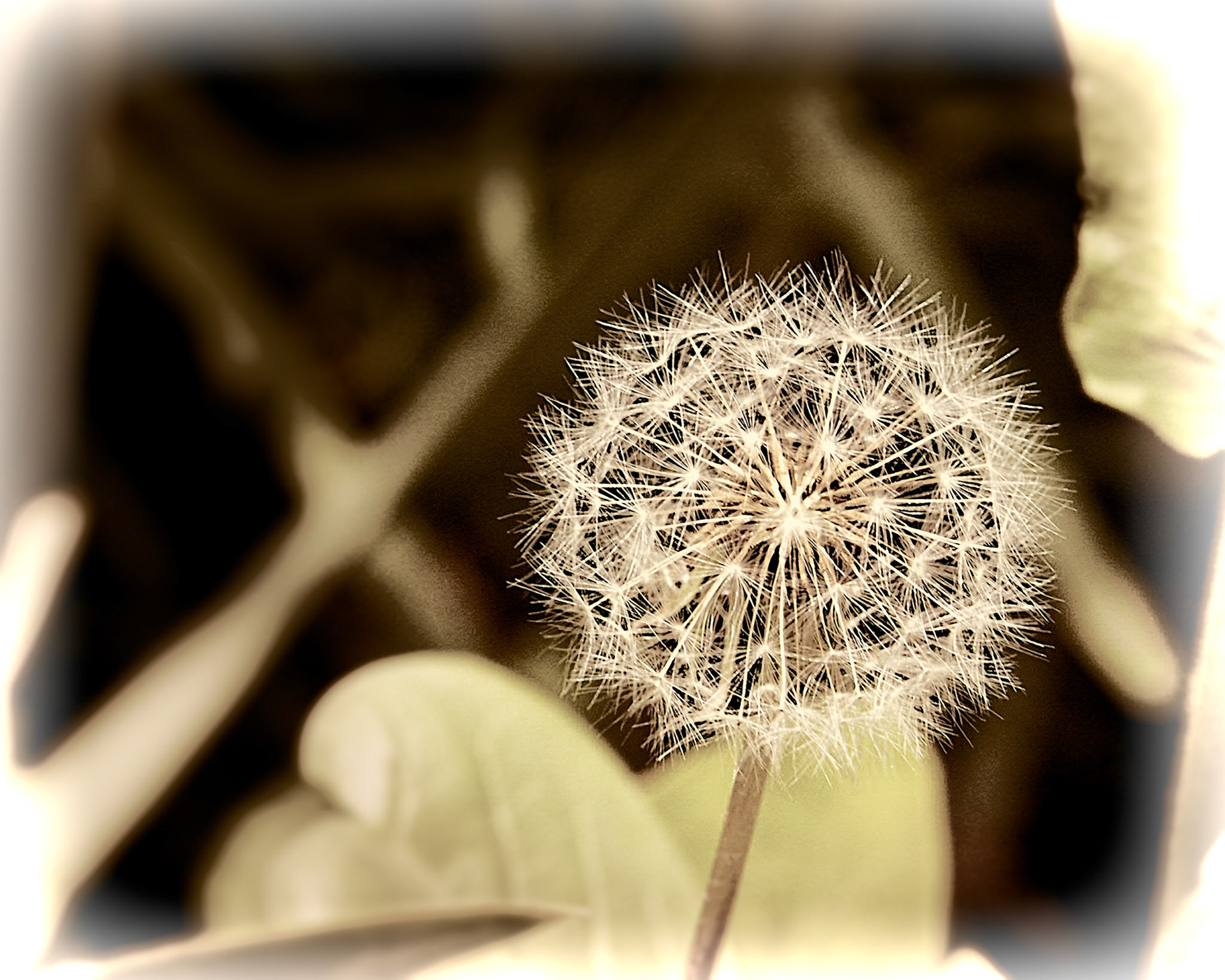 What more can I say?