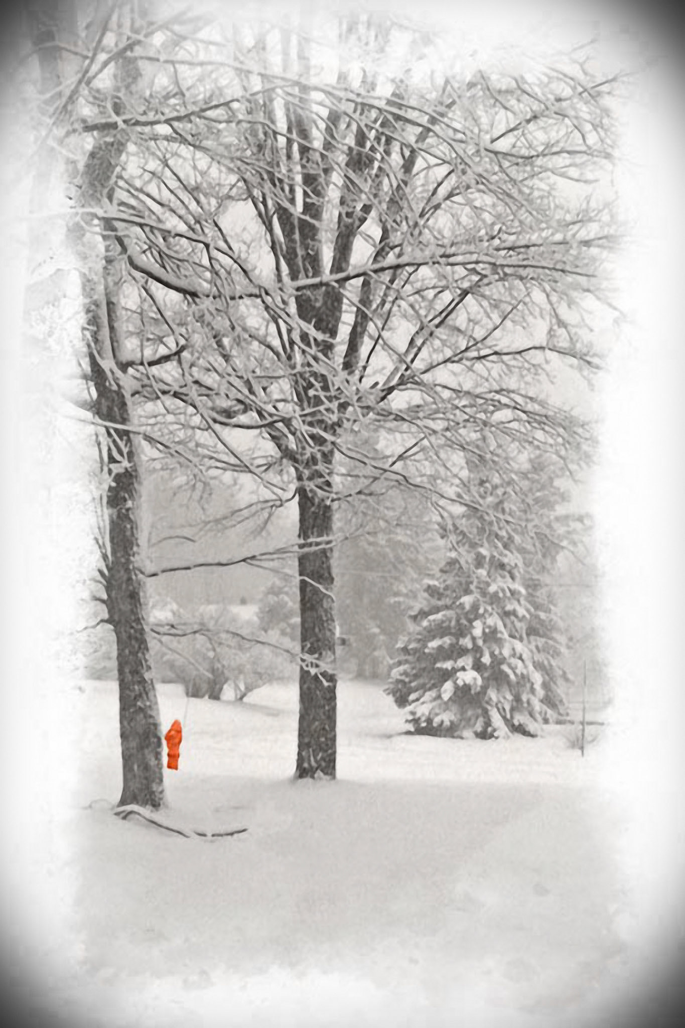 Looking out of a frosty window in the middle of winter in Minnesota, seeing the sole fire hydrant standing watch over the neighborhood.