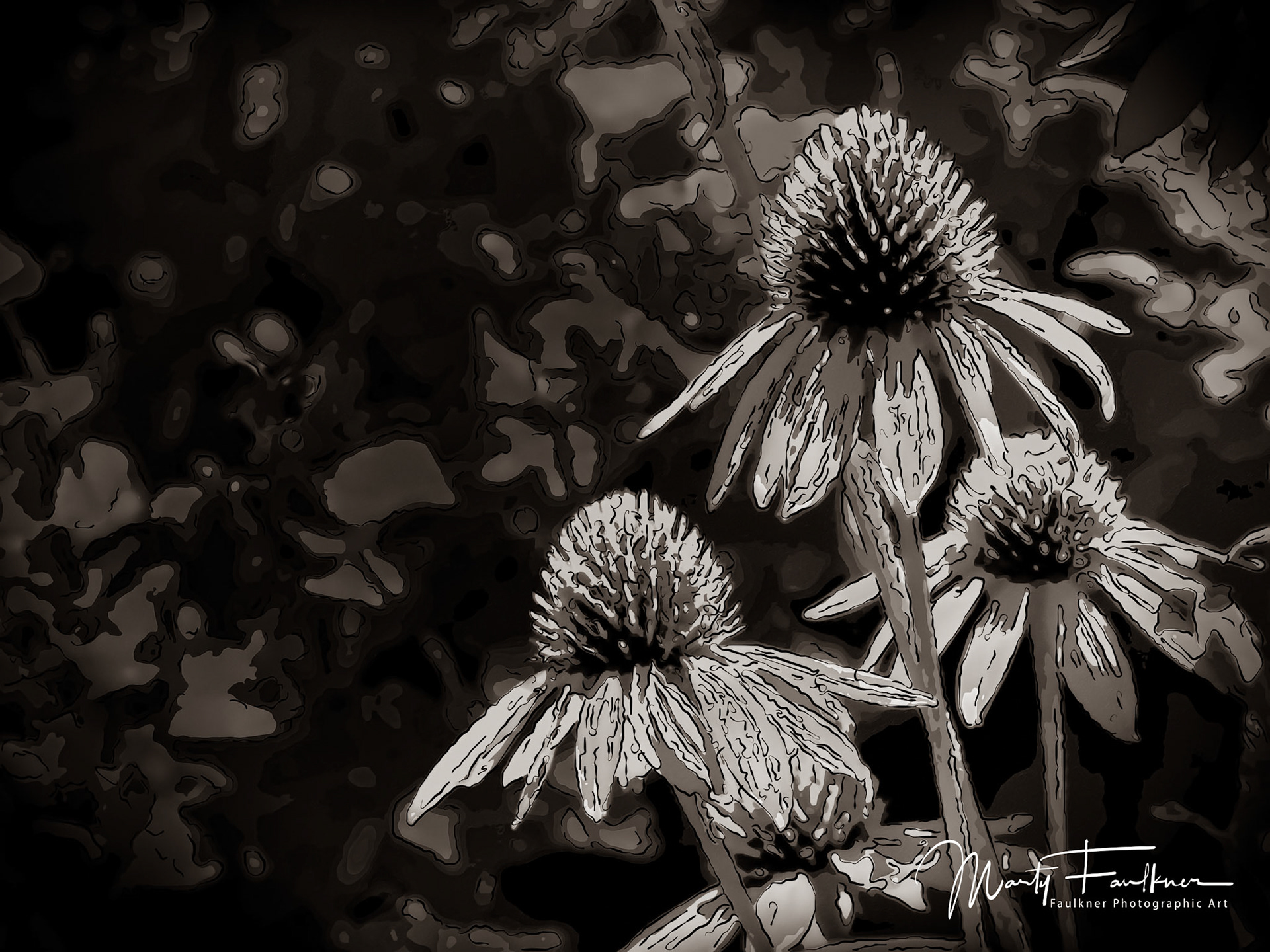 Geogious Cornflowers on a sunny afternoon
