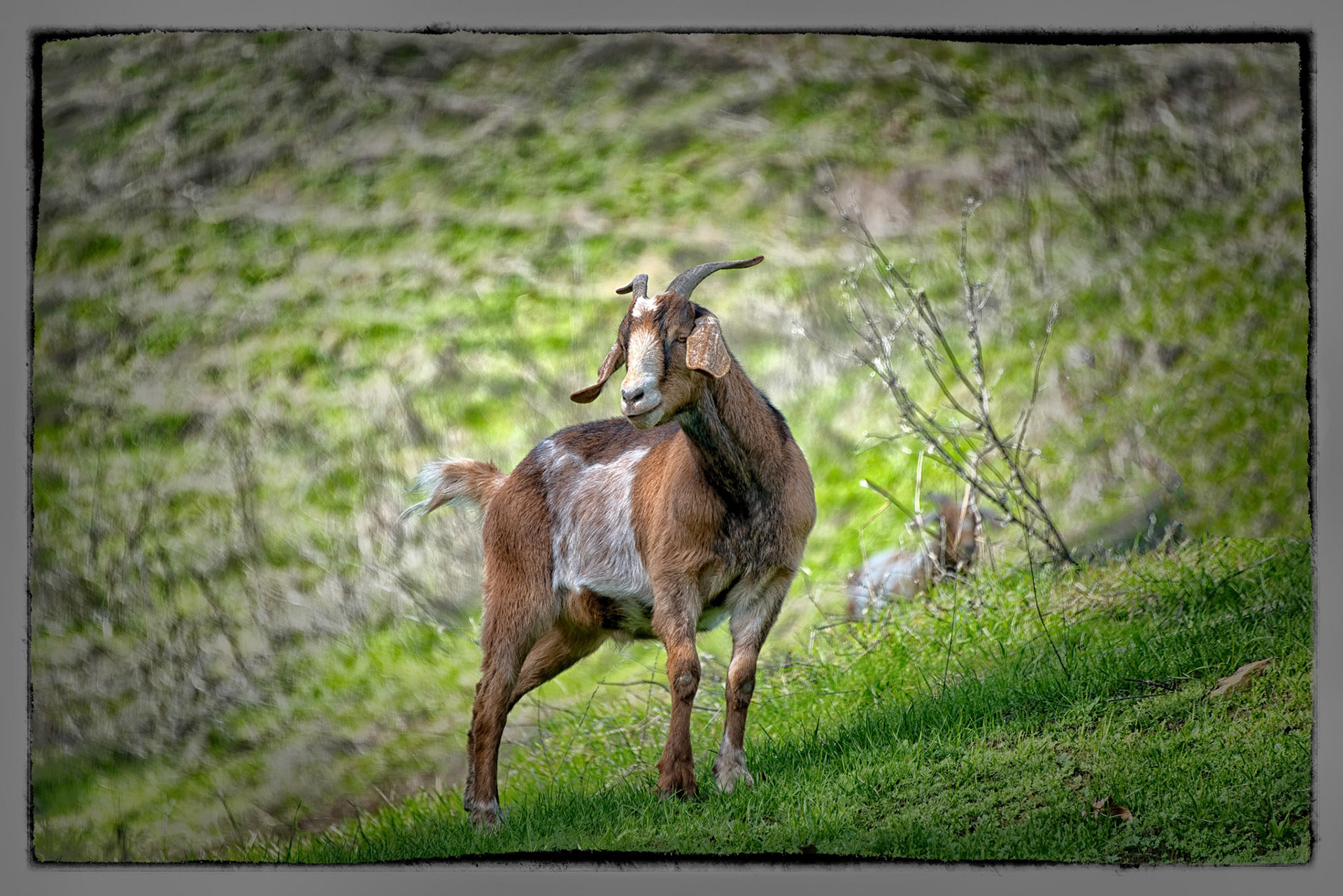 Just passing through one afternoon, along with about 200 others. California, USA