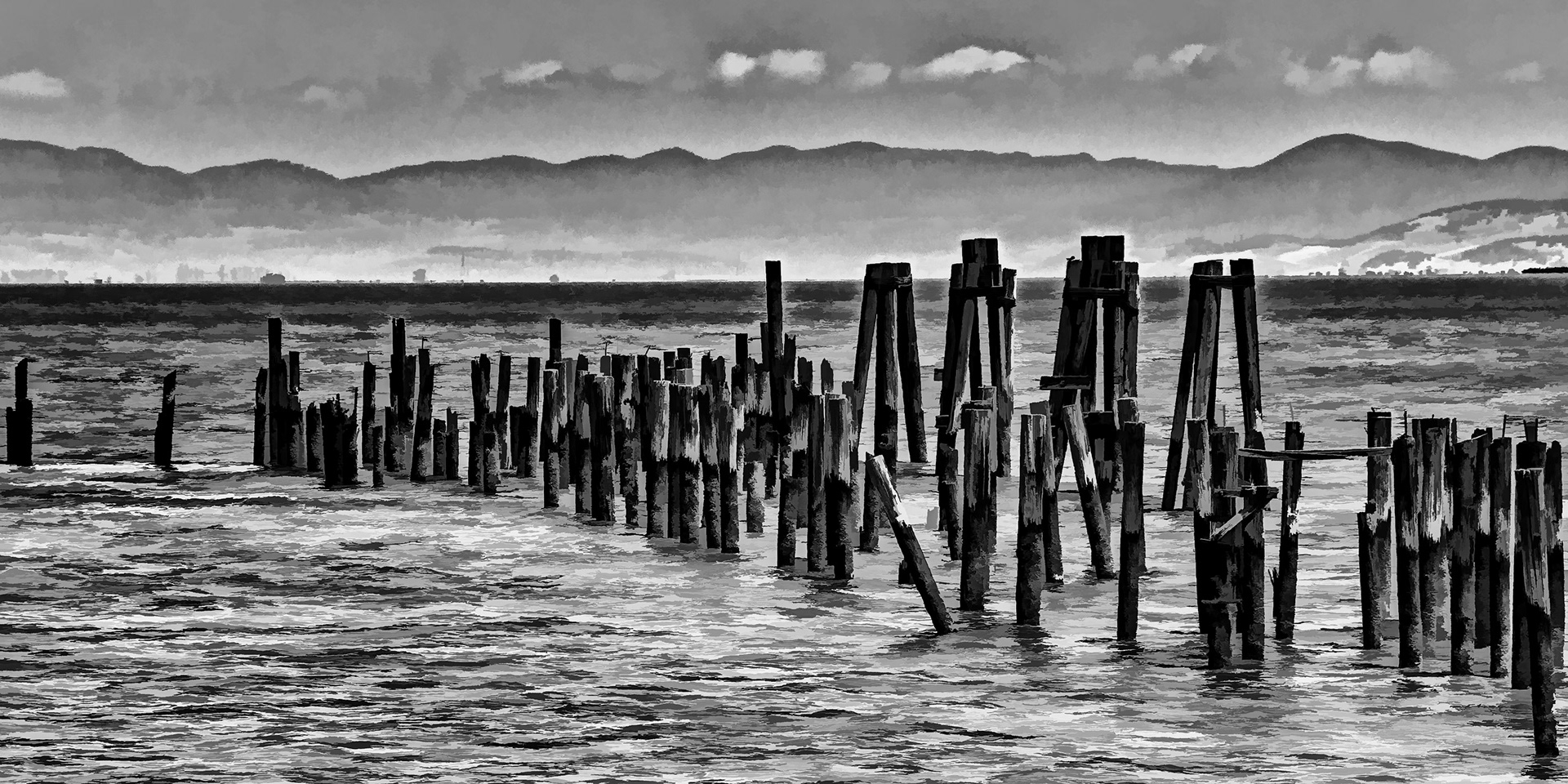 Old pier pilings (pier is gone due to old age).