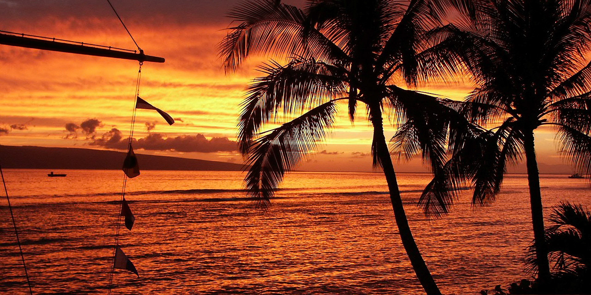 Amazing sunset in Maui Hawaii, USA, with the palm trees silhouetted.