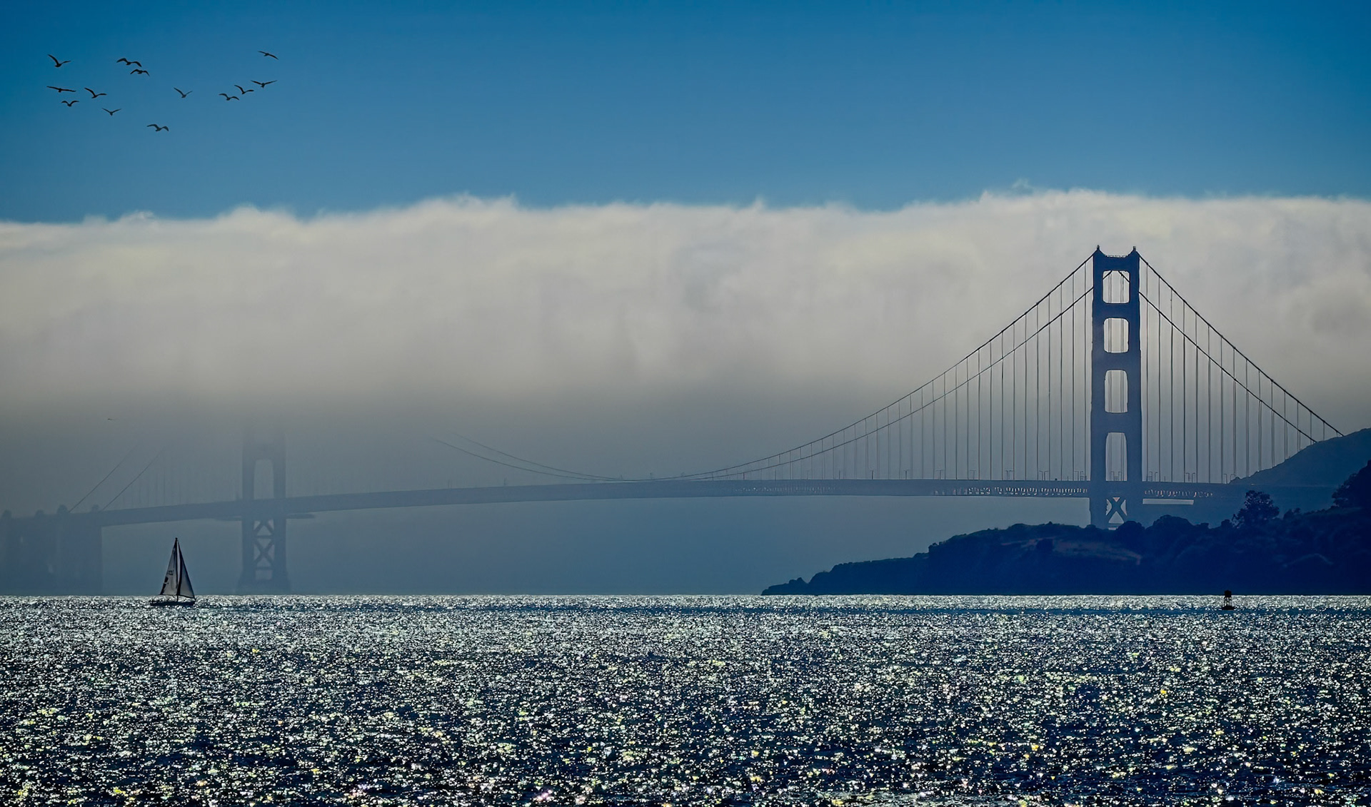 The Golden Gate Bridge covered in fog