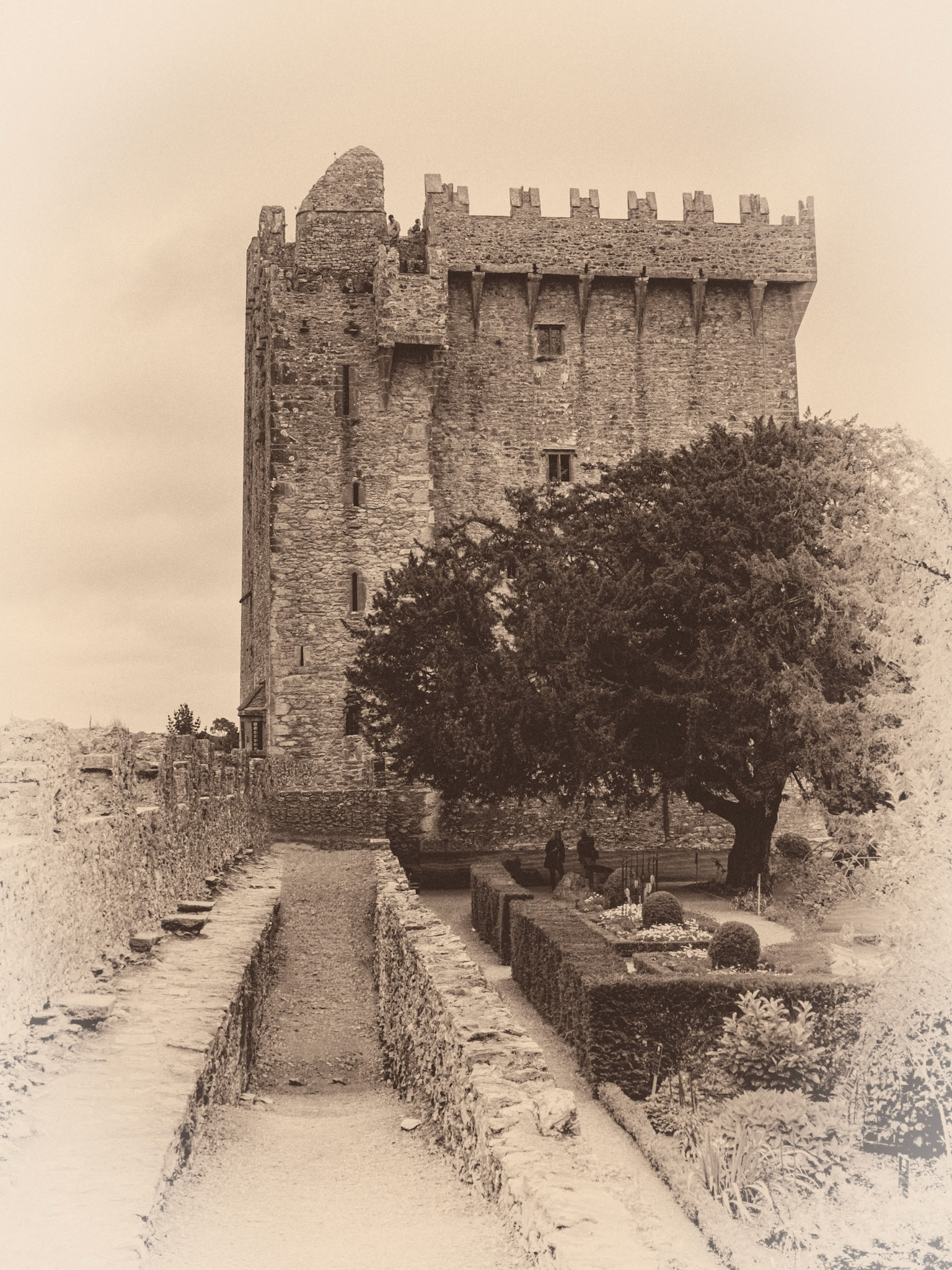 The Blarney Castle, which has been home for the famous Stone since it was laid there in 1446.  Actually kissing the stone is a feat in itself - requiring one to lean over backwards in a very unusual and awkward position. Millions of people have done it!