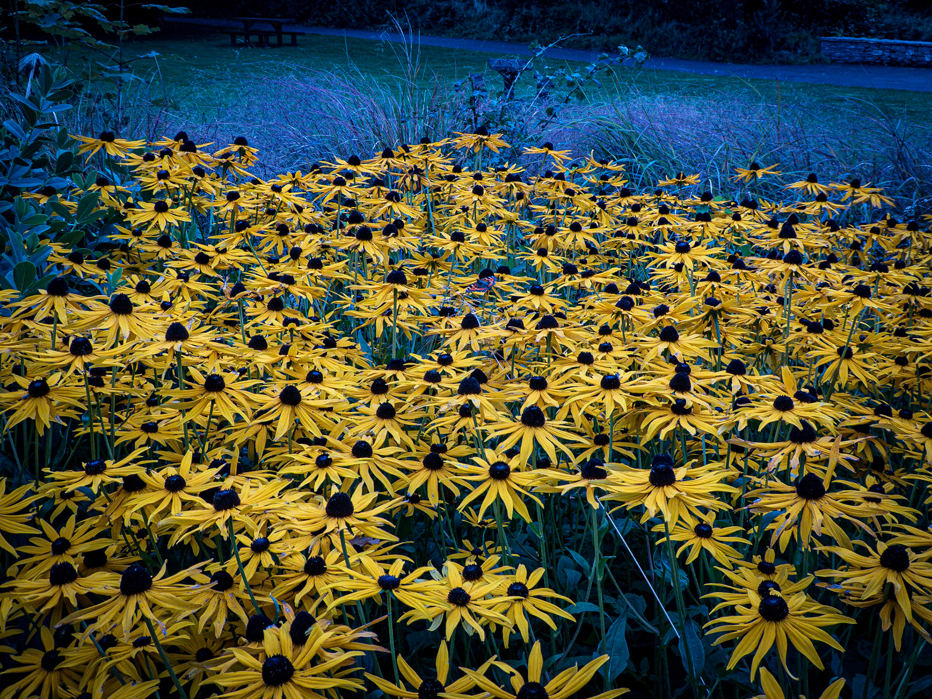 IRELAND . UNFINISHED WORK IN PROGRESS