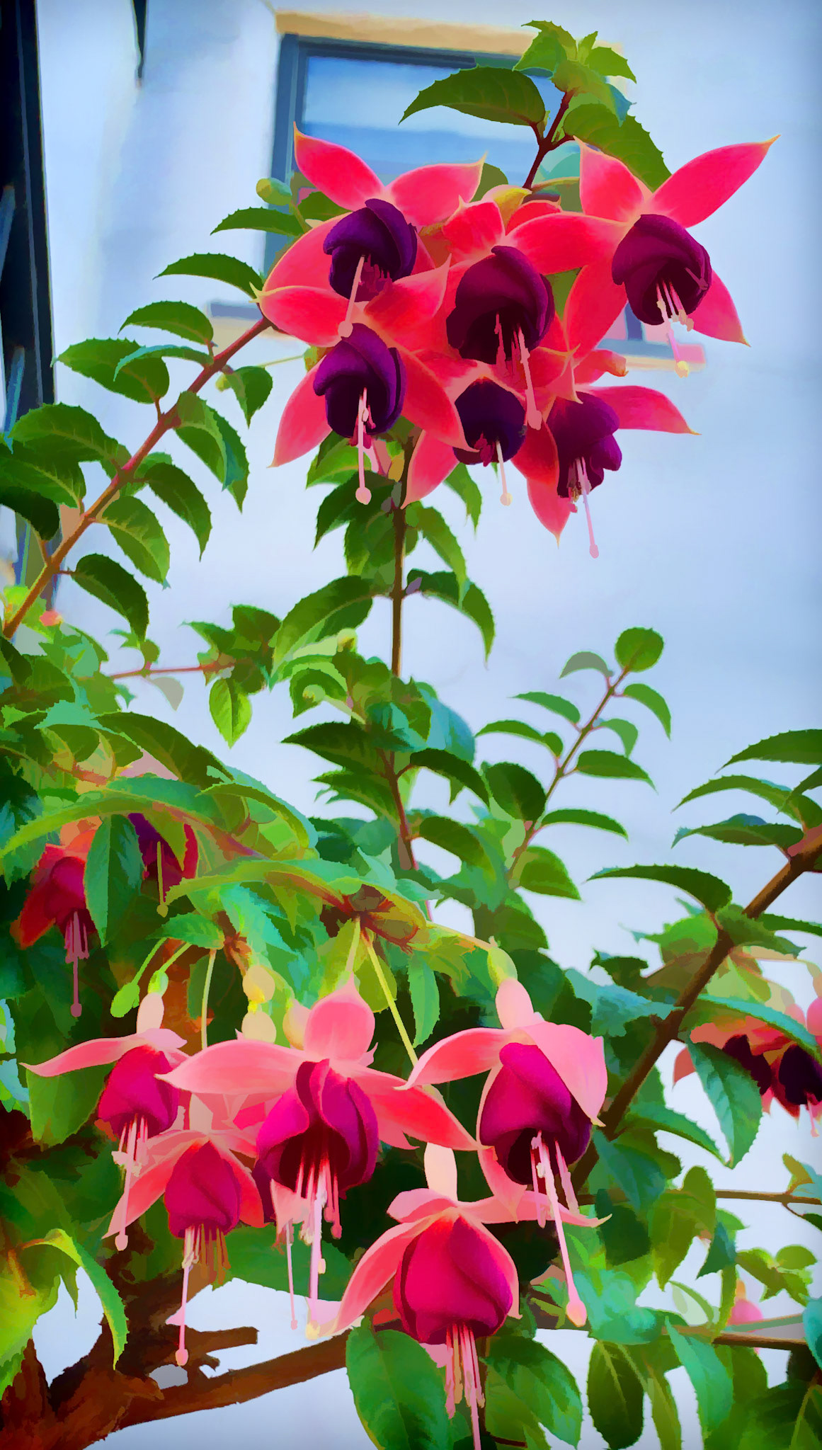 UNFINISHED WORK IN PROGRESS