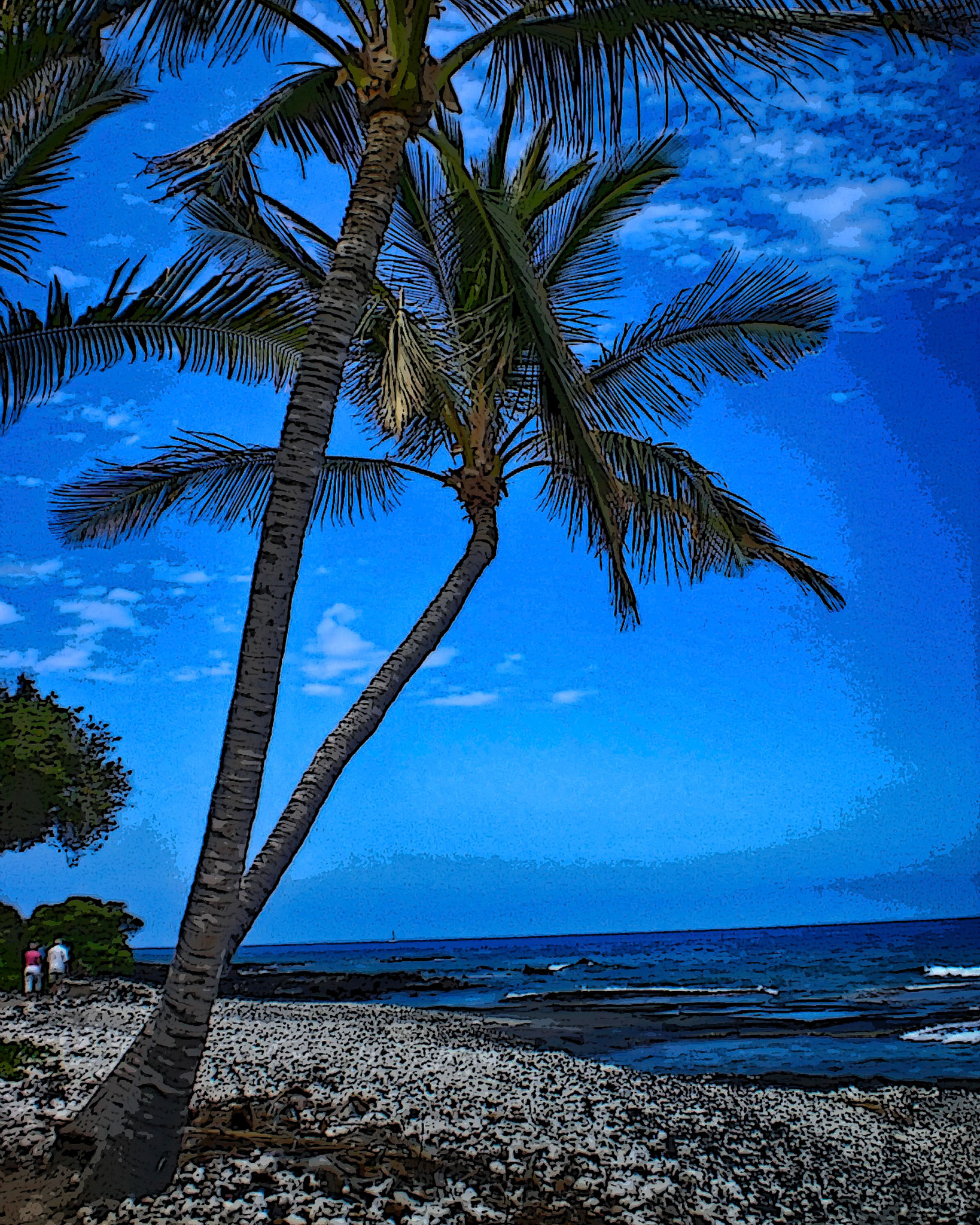 Walking the beach on another beautiful day on Maui, Hawaii, USA