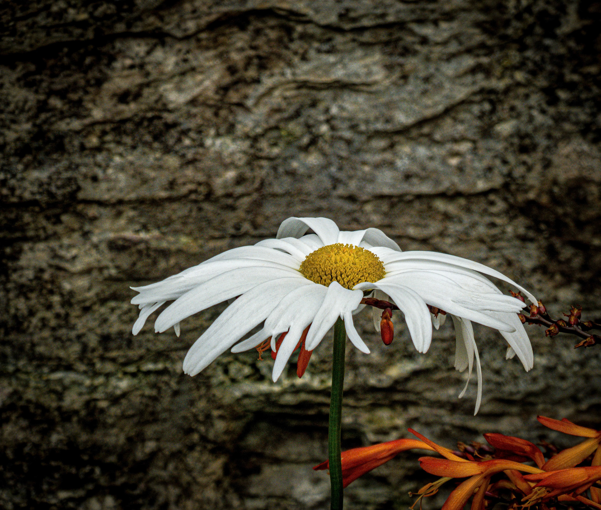 IRELAND . UNFINISHED WORK IN PROGRESS