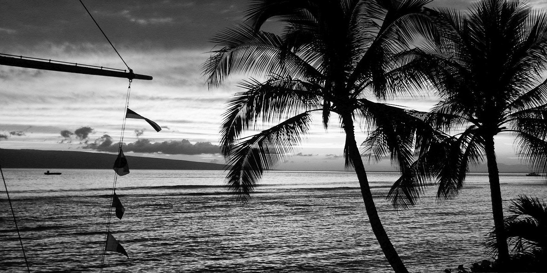 Amazing sunset in Maui Hawaii, USA, with the palm trees silhouetted. This version in Black and White.