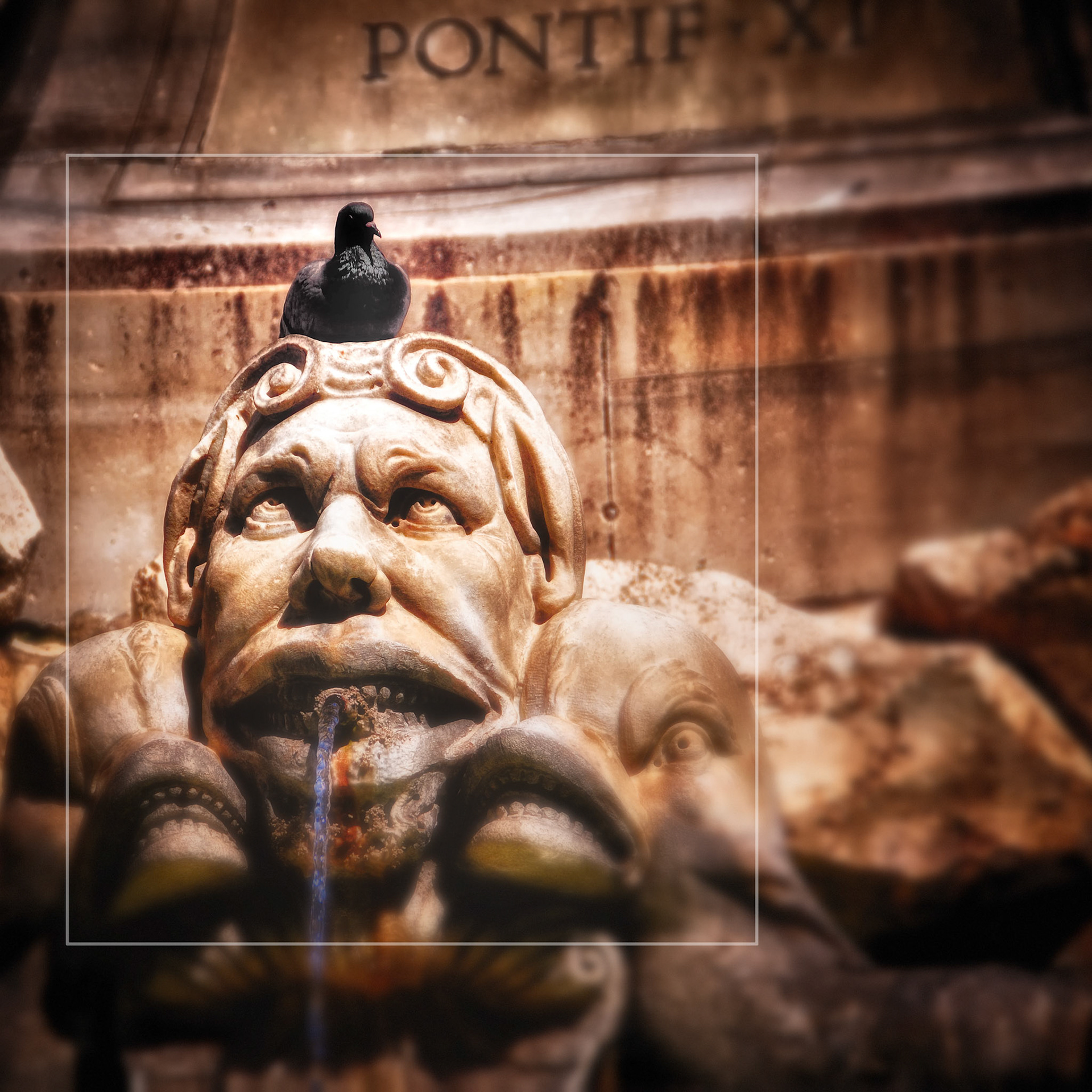 Pigeon sitting on the head of a statue, making the statue appear to be angry that it is sitting there!  Rome, Italy