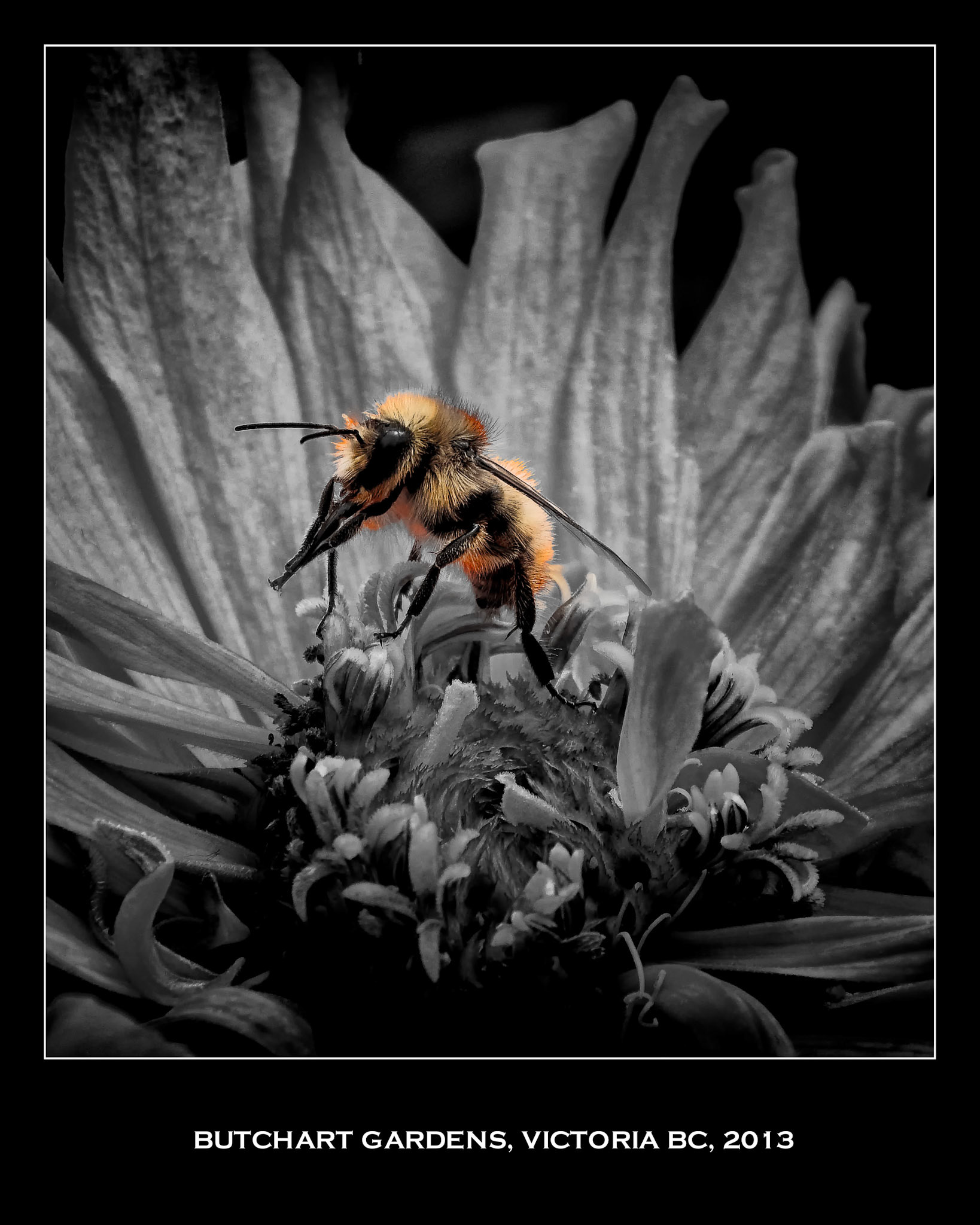 Getting set to have lunch. Taken at Butchart Gardens, Victoria, BC